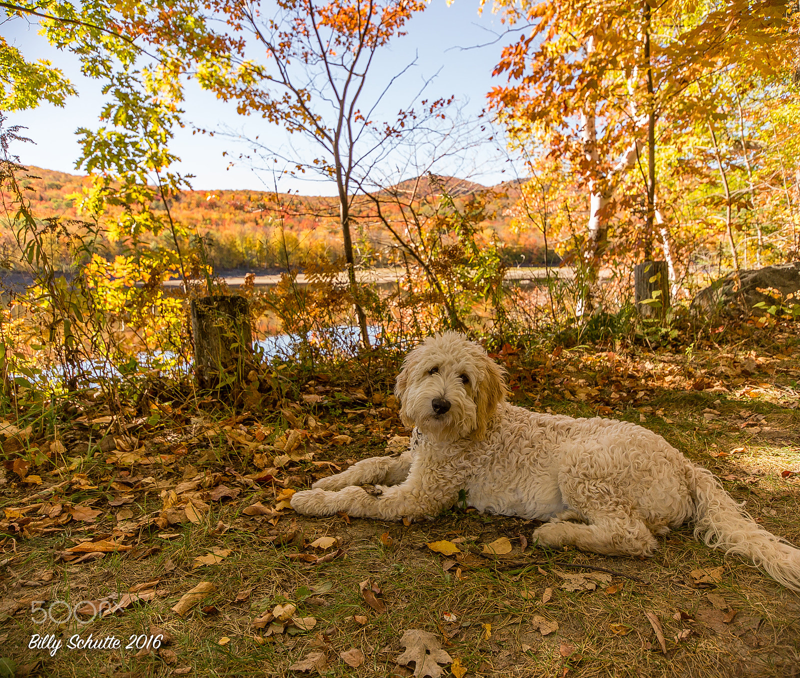 Canon EOS 6D + Sigma 10-20mm F4-5.6 EX DC HSM sample photo. Izzy photography