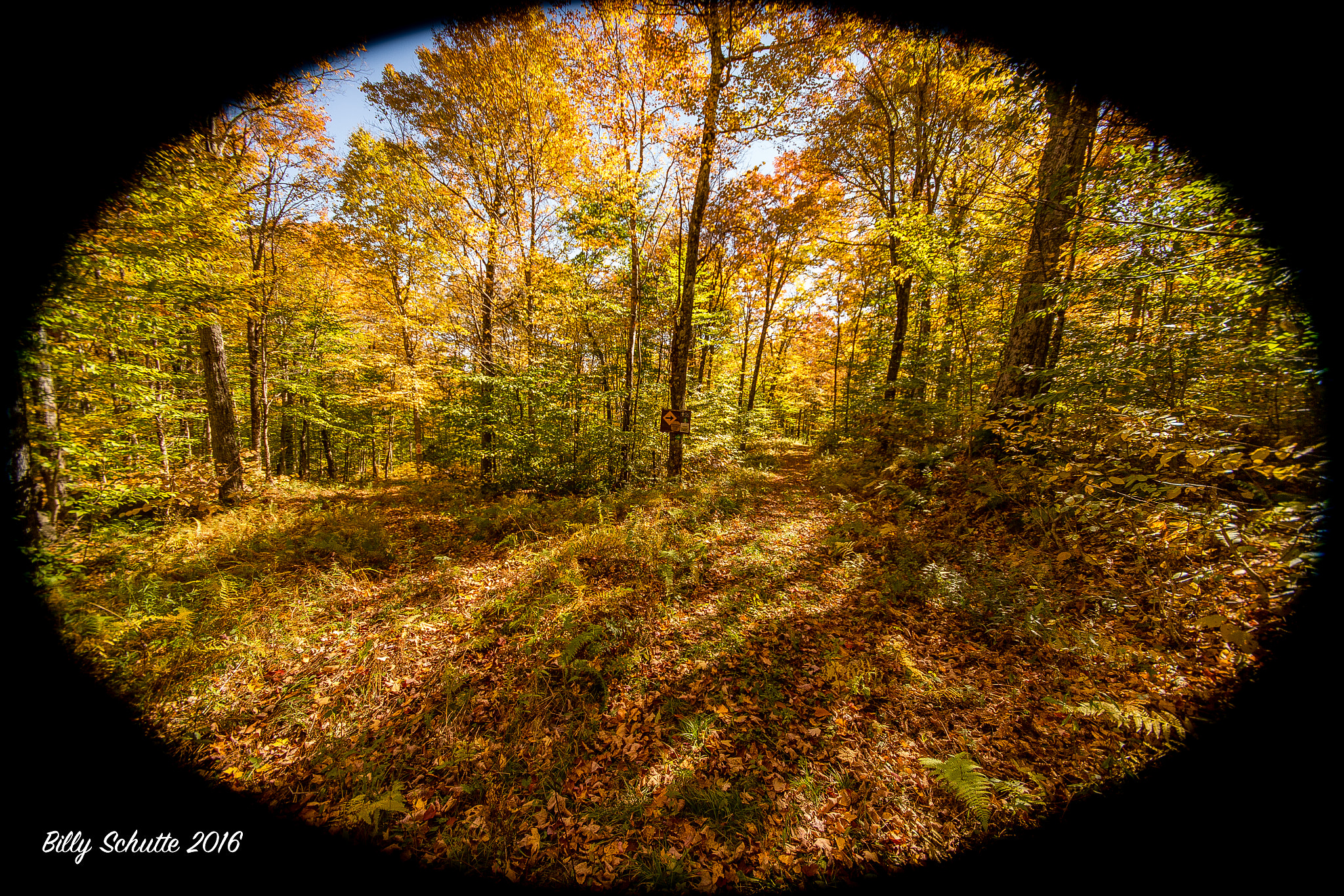 Canon EOS 6D + Sigma 10-20mm F4-5.6 EX DC HSM sample photo. Keep right photography