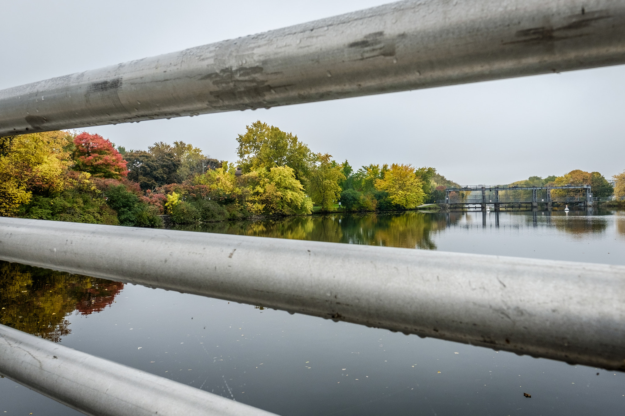 Fujifilm X-T10 + Fujifilm XF 16mm F1.4 R WR sample photo. Fall 2016 photography