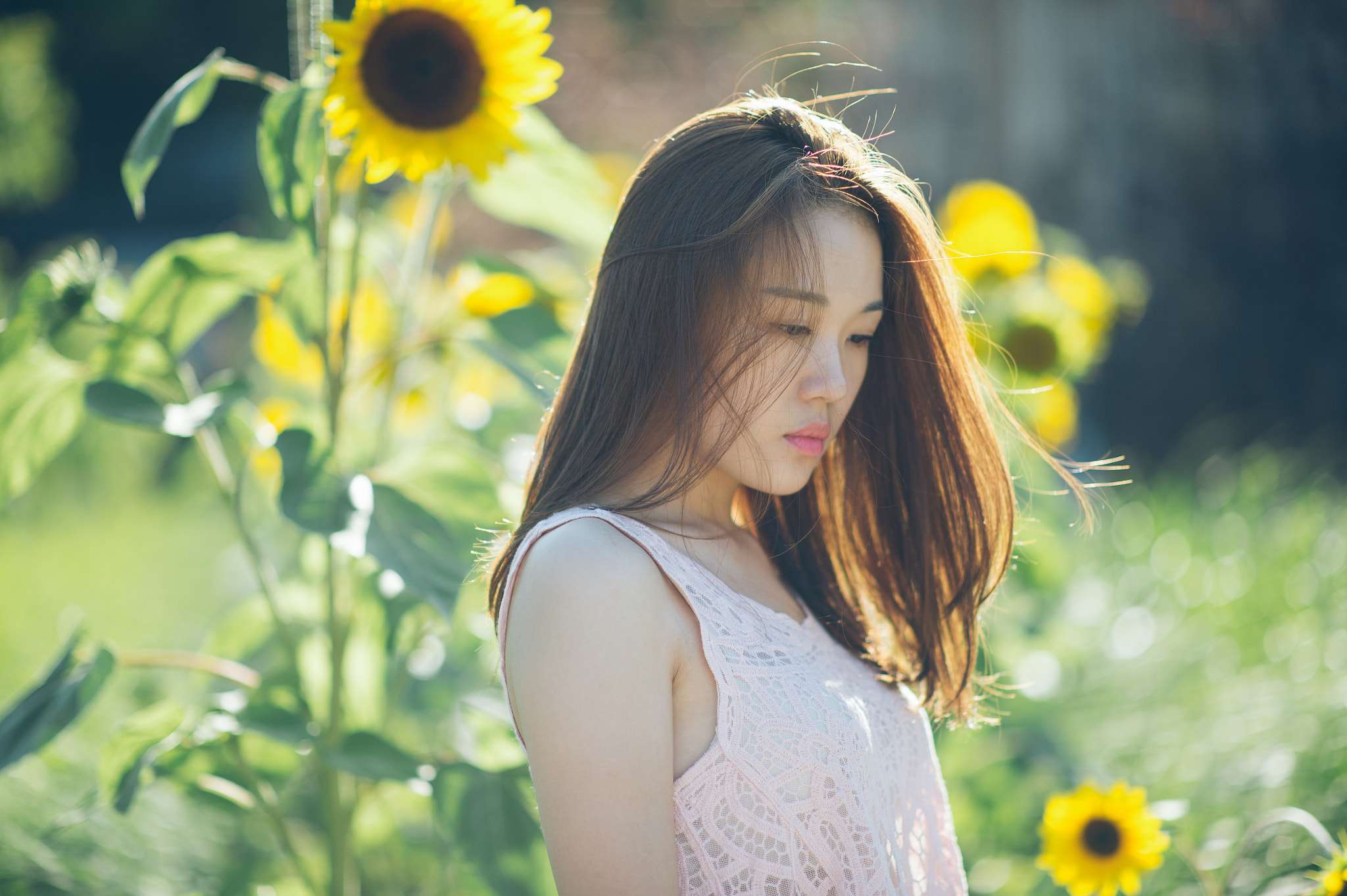 Nikon D4 + Nikon AF-S Nikkor 85mm F1.4G sample photo. Flower photography