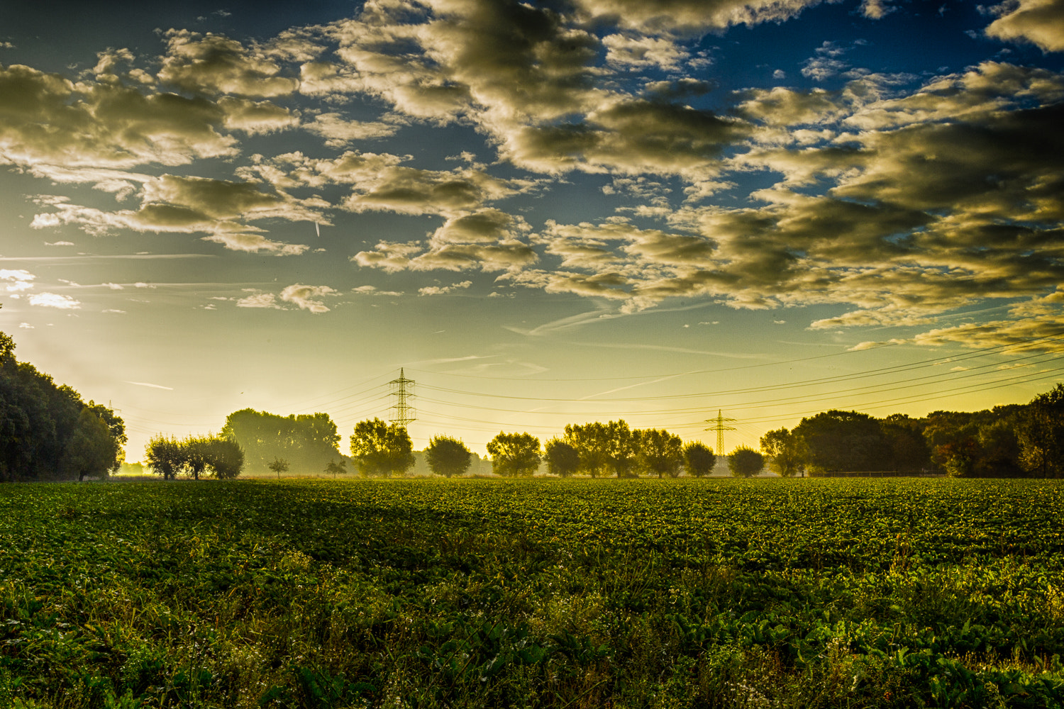Canon EOS-1D Mark IV sample photo. Sonnenaufgang in herrenshoff  photography