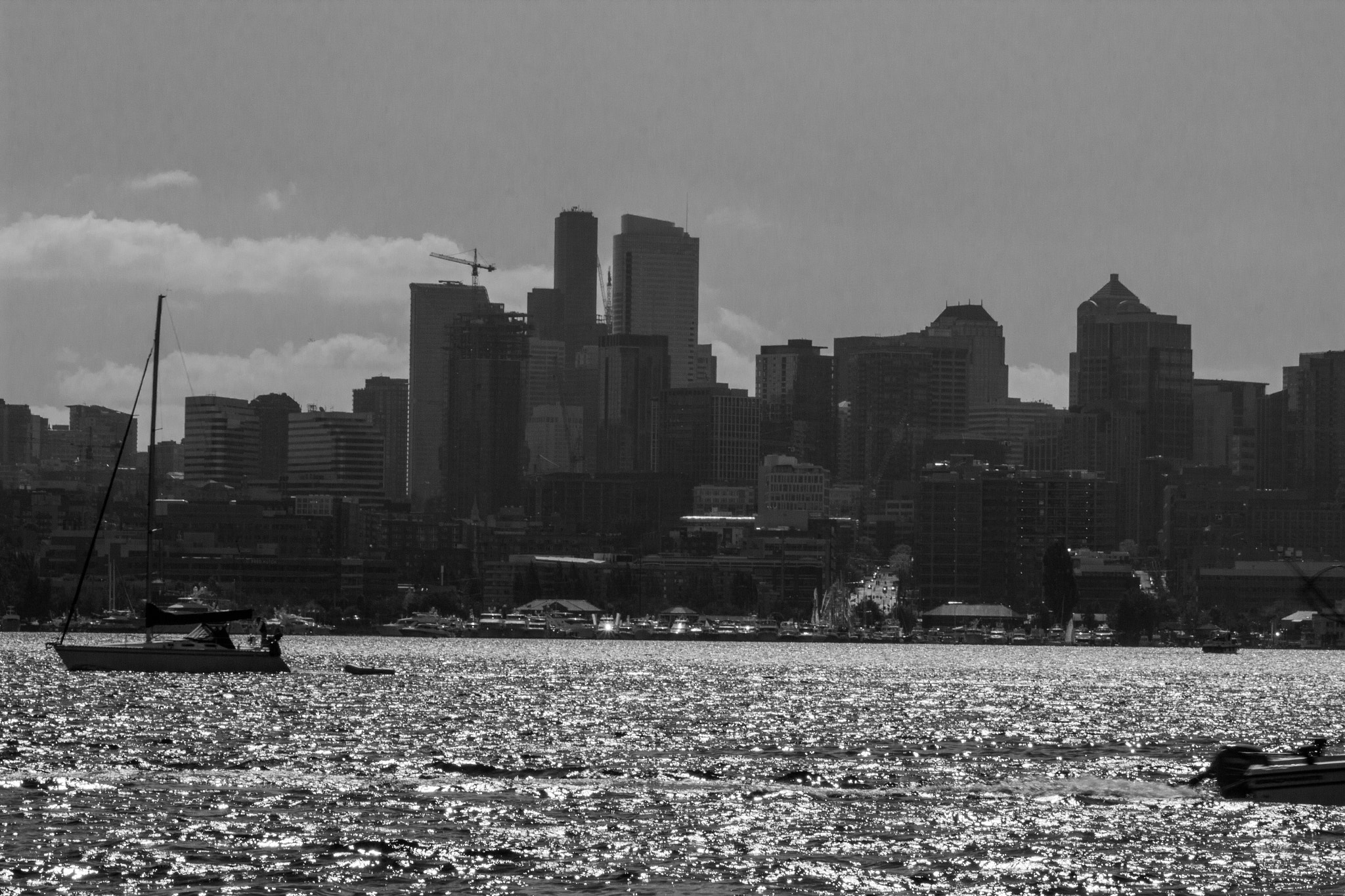 Canon EF-S 55-250mm F4-5.6 IS STM sample photo. Seattle photography