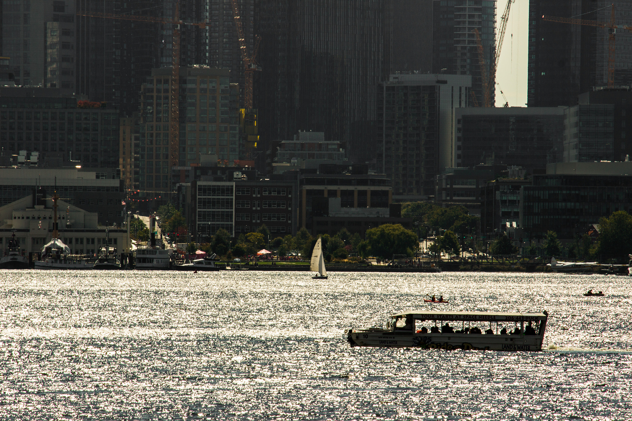 Canon EF-S 55-250mm F4-5.6 IS STM sample photo. The golden lake photography