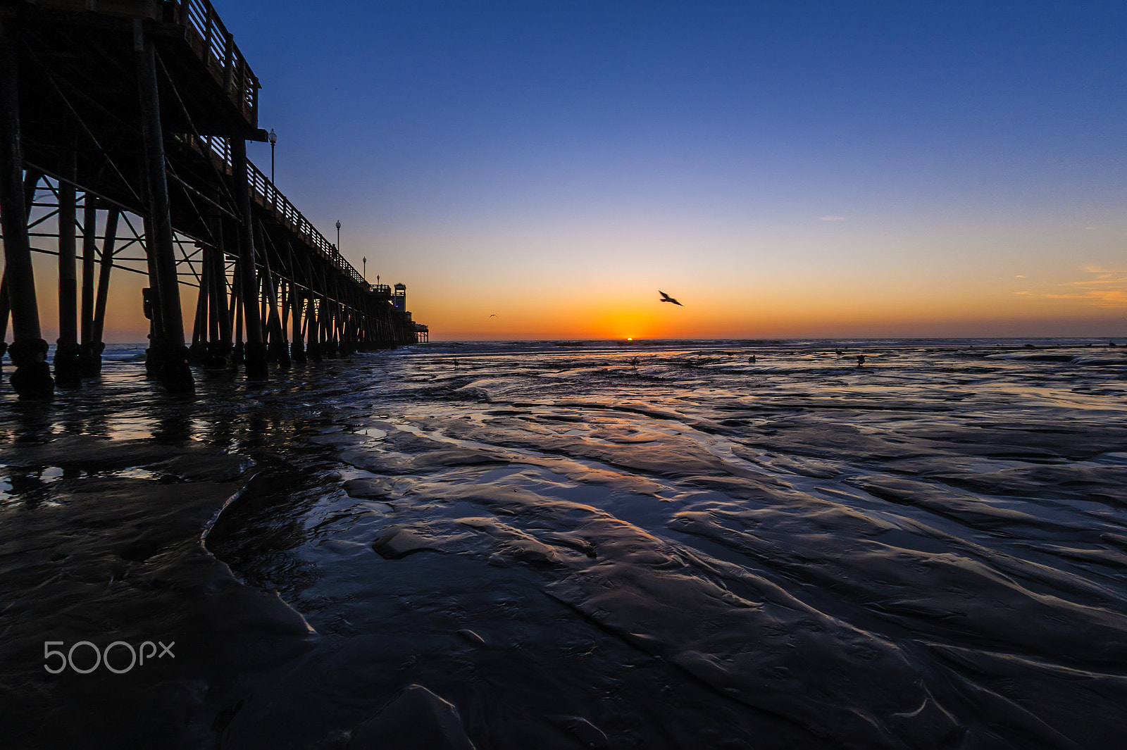 Nikon D700 + Sigma 15mm F2.8 EX DG Diagonal Fisheye sample photo. Low tide at sunset in oceanside - october 18, 2016. photography