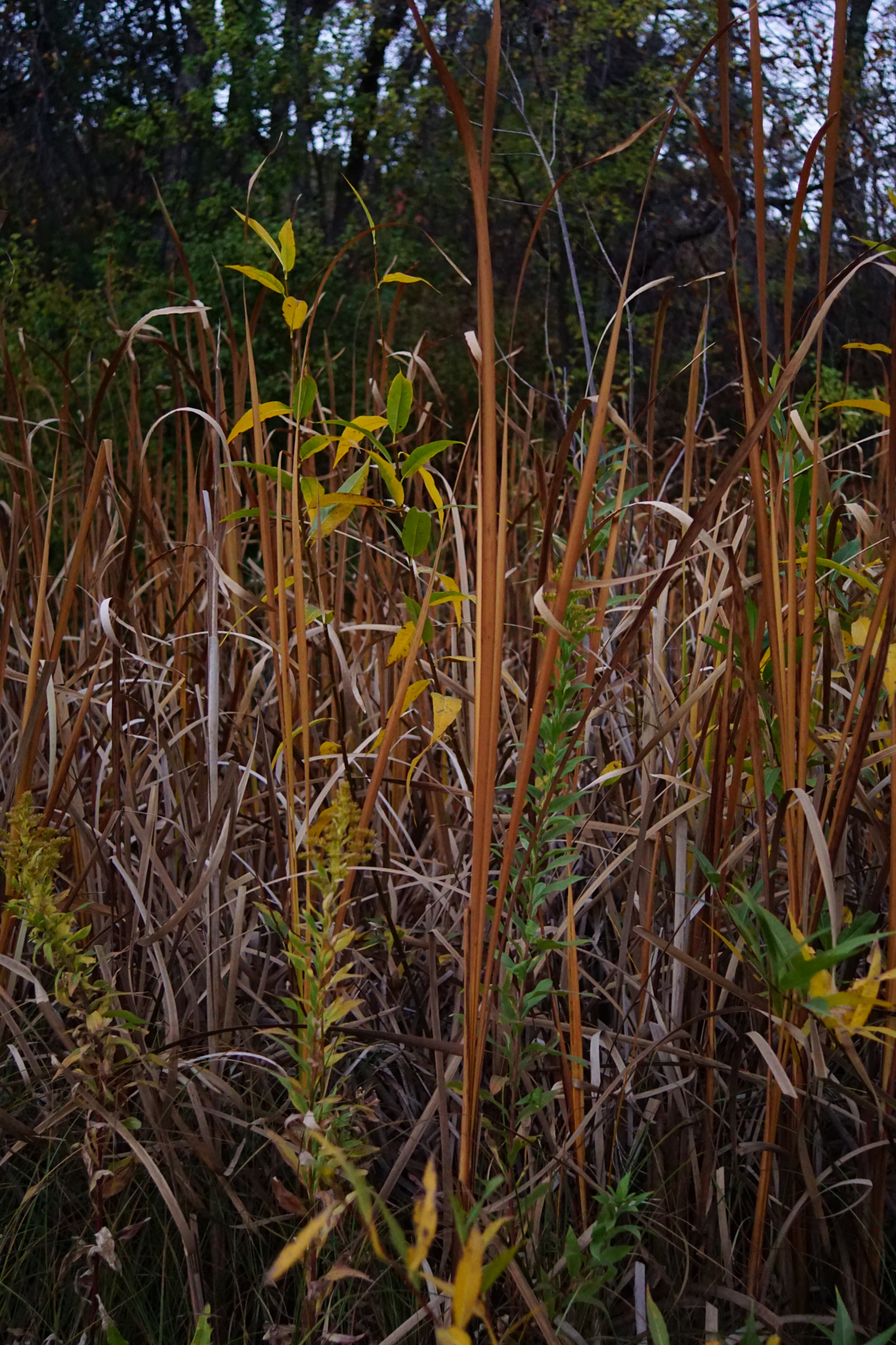 Sony 28mm F2.8 sample photo. Landscape - late evening photography