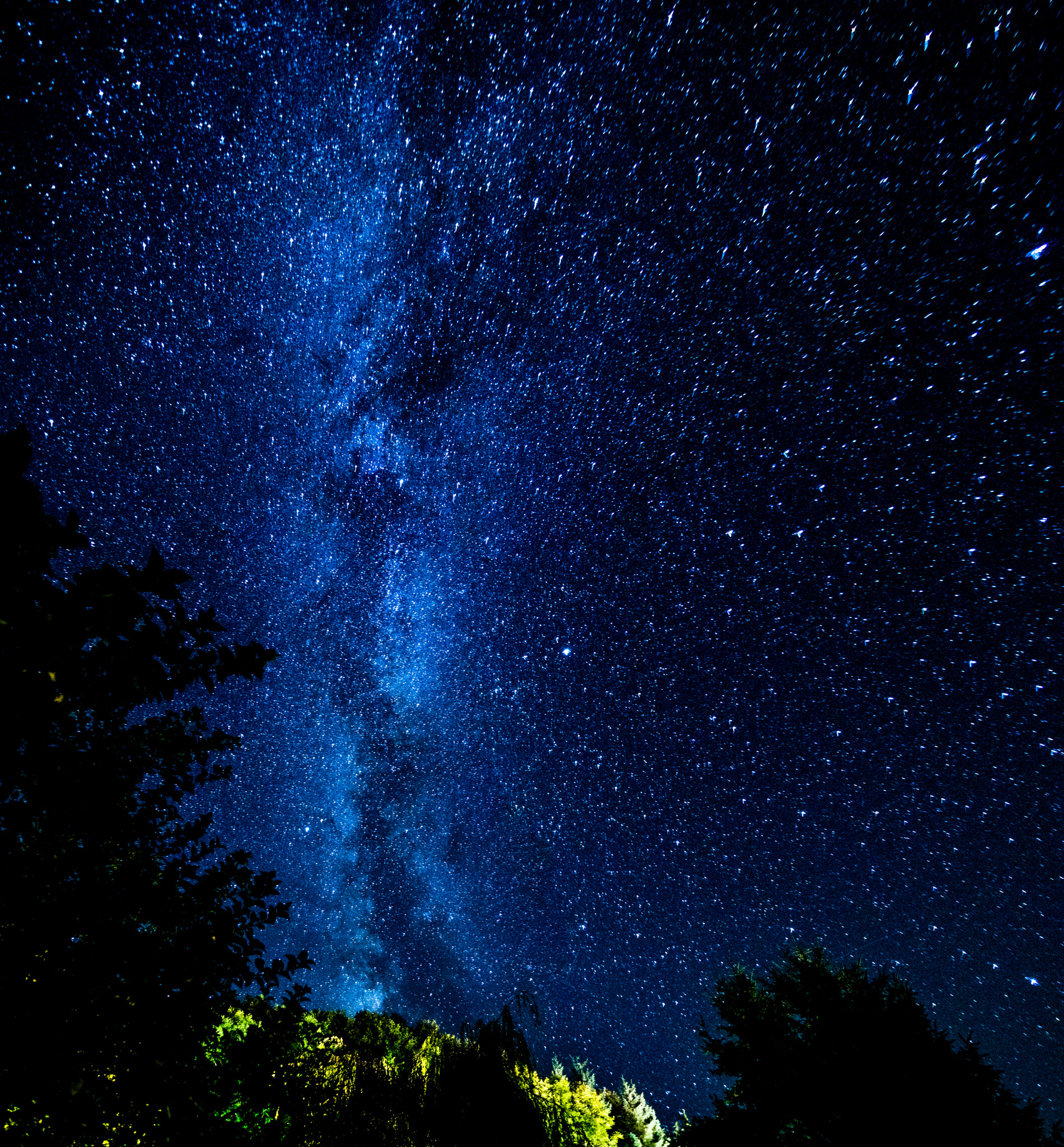 11-16mm F2.8 G sample photo. Carpet of sapphires photography