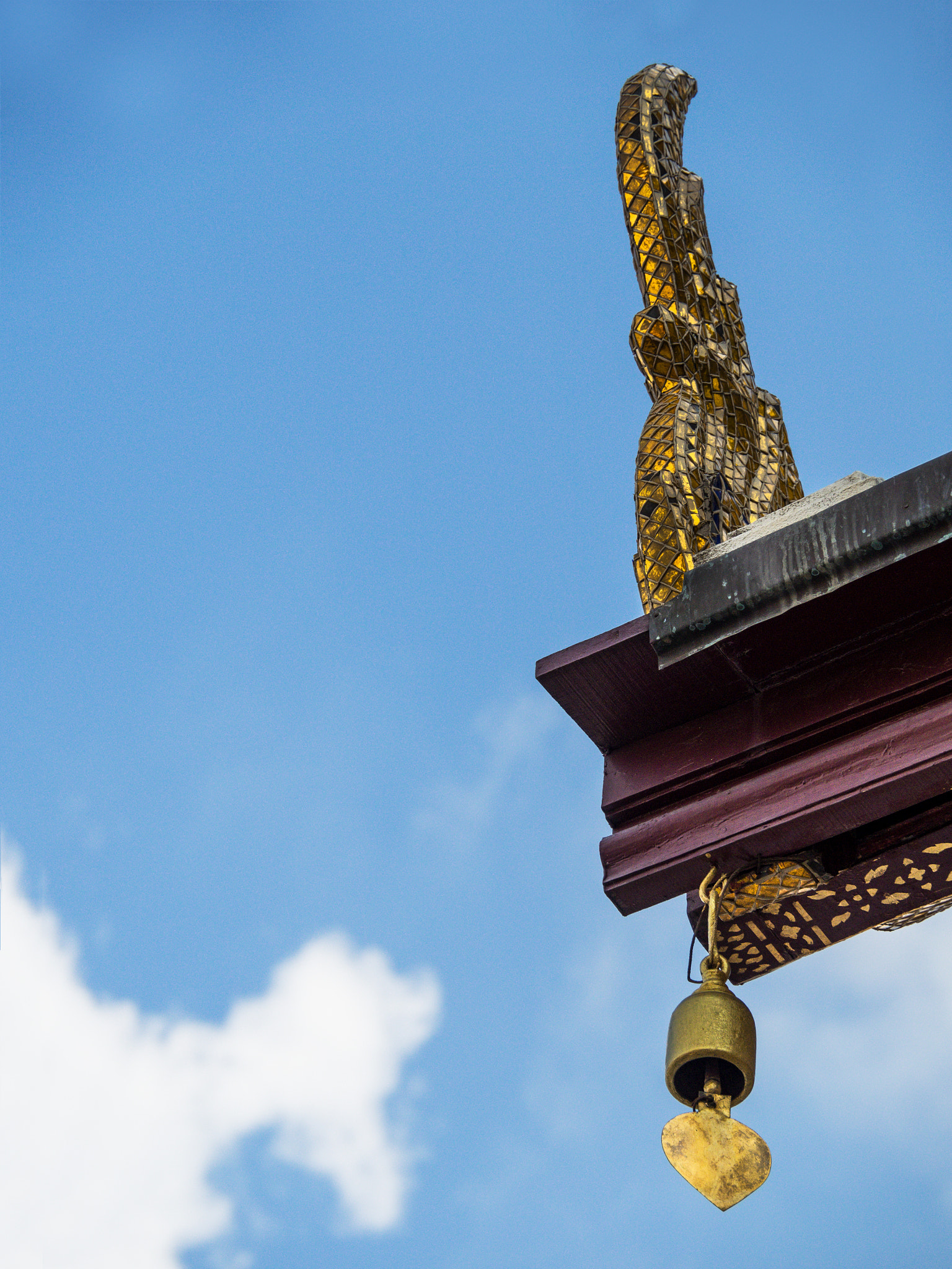 OLYMPUS M.14-150mm F4.0-5.6 II sample photo. หางหงส์ photography