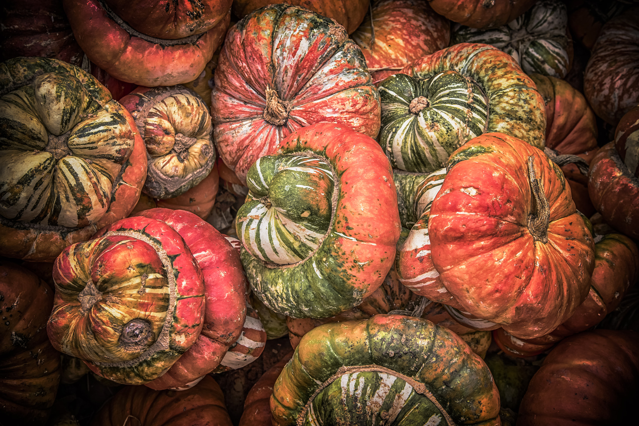 Pentax K-1 + Tamron AF 28-75mm F2.8 XR Di LD Aspherical (IF) sample photo. Pumpkins photography