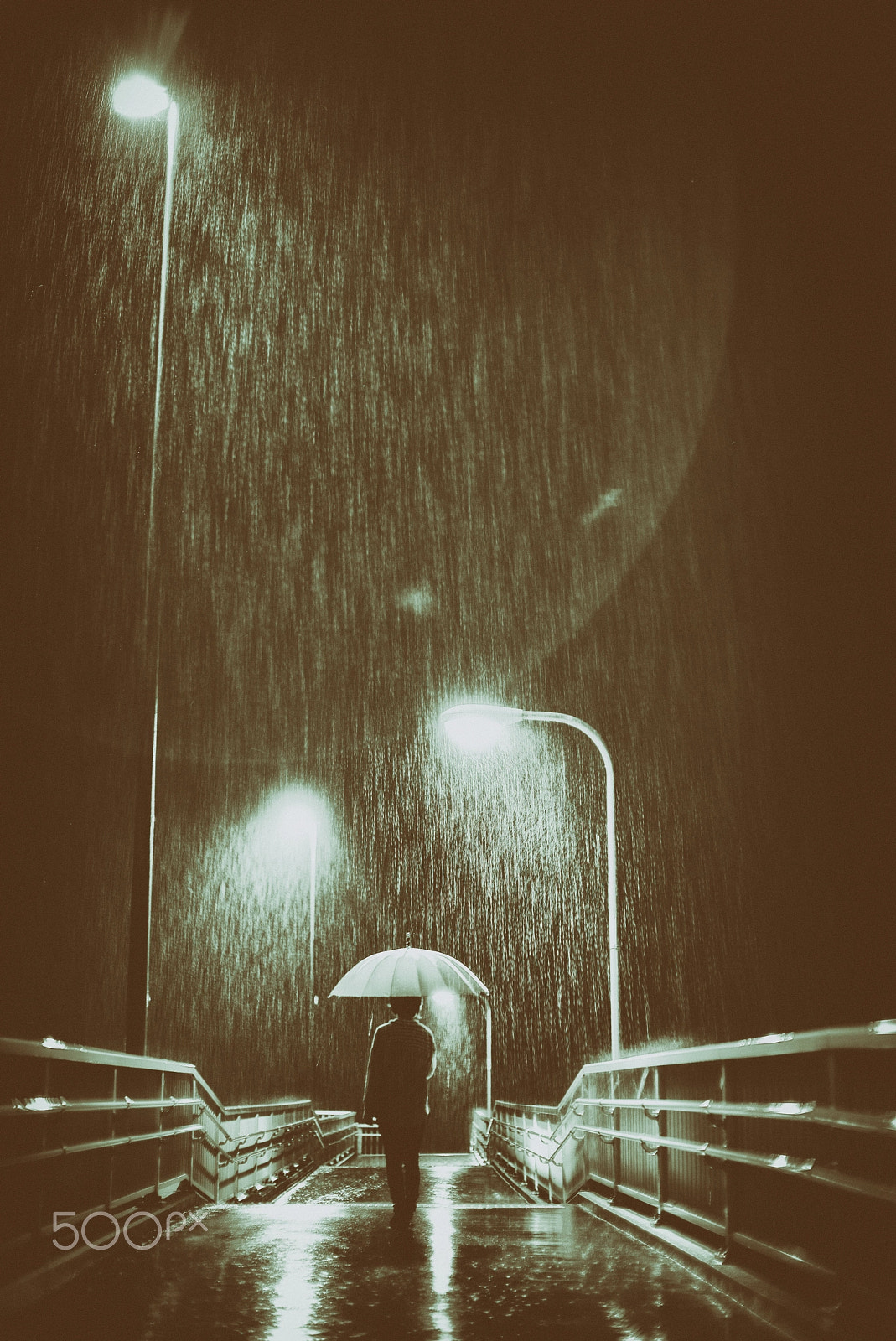 Leica Noctilux-M 50mm F0.95 ASPH sample photo. Rain photography