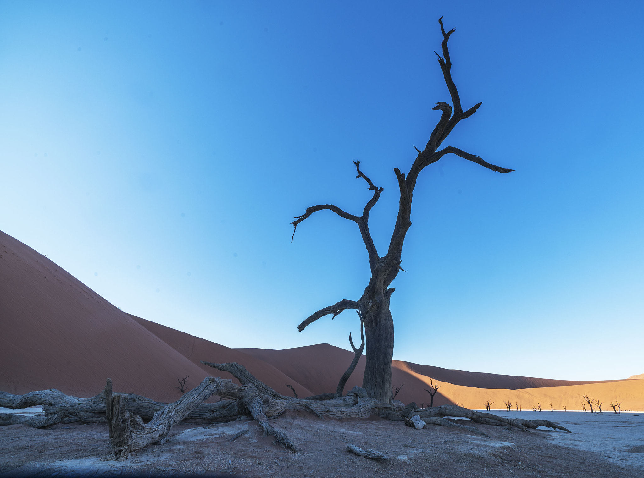 Sony a7R II + Sony Vario-Sonnar T* 16-35mm F2.8 ZA SSM sample photo. Sossusvlei - namibia photography