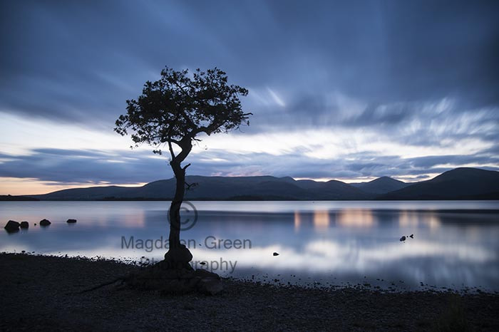 Nikon D700 + AF-S DX Zoom-Nikkor 18-55mm f/3.5-5.6G ED sample photo. Cool tree night view milarrochy bay - loch lomond - scotland photography