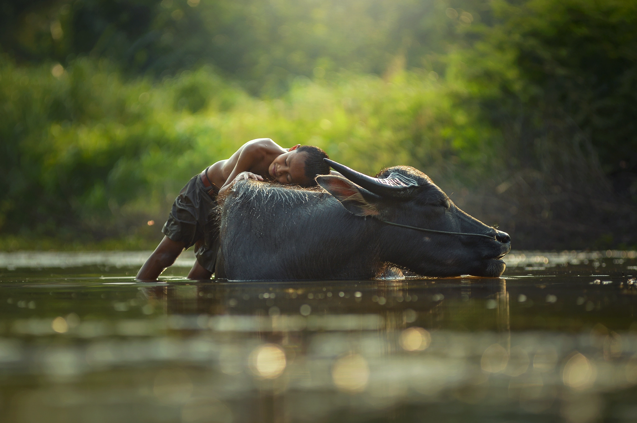 Nikon AF-Nikkor 80-200mm F2.8D ED sample photo. Children playing with buffalo ,thailand photography