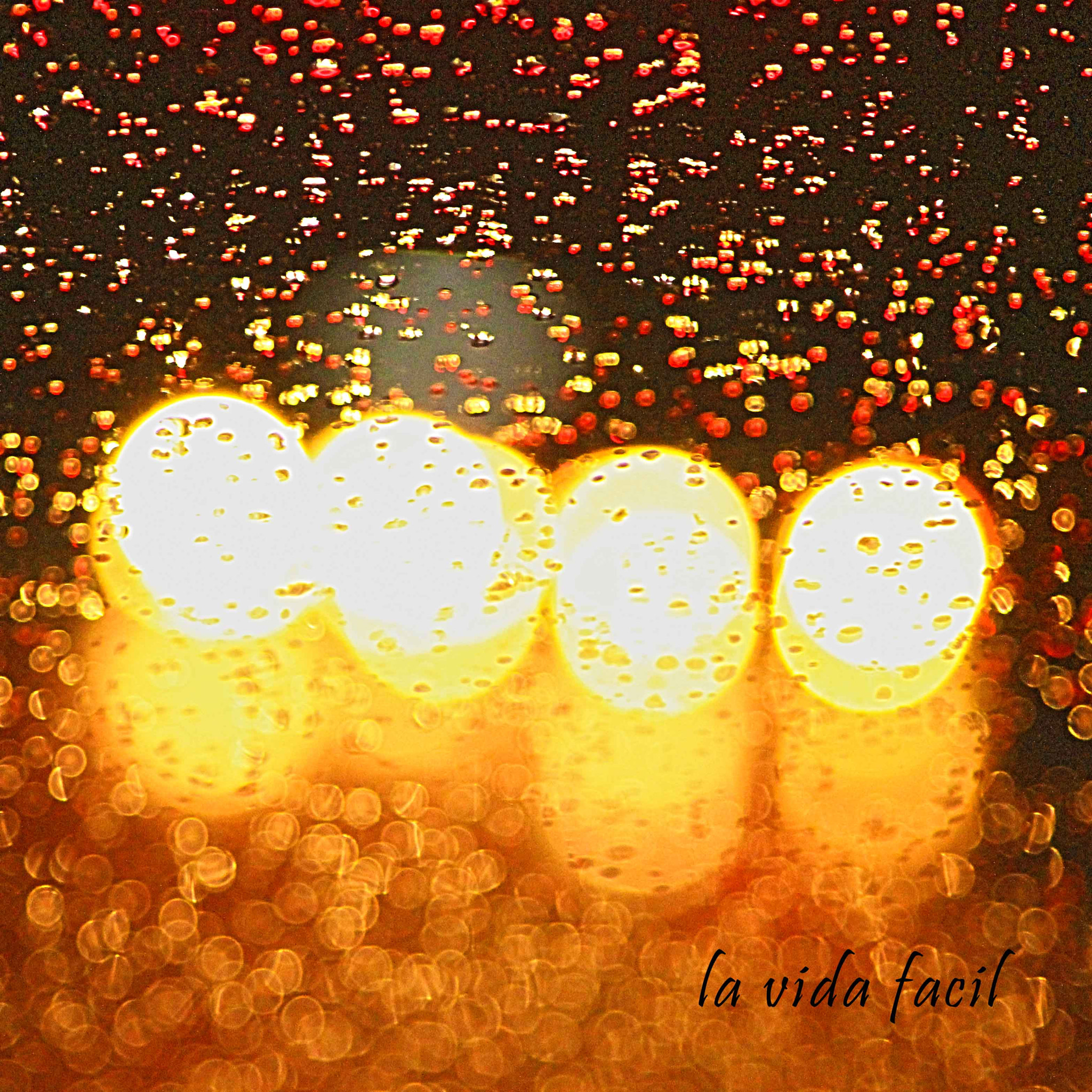 Canon EF 28-105mm f/3.5-4.5 USM sample photo. State of rain photography
