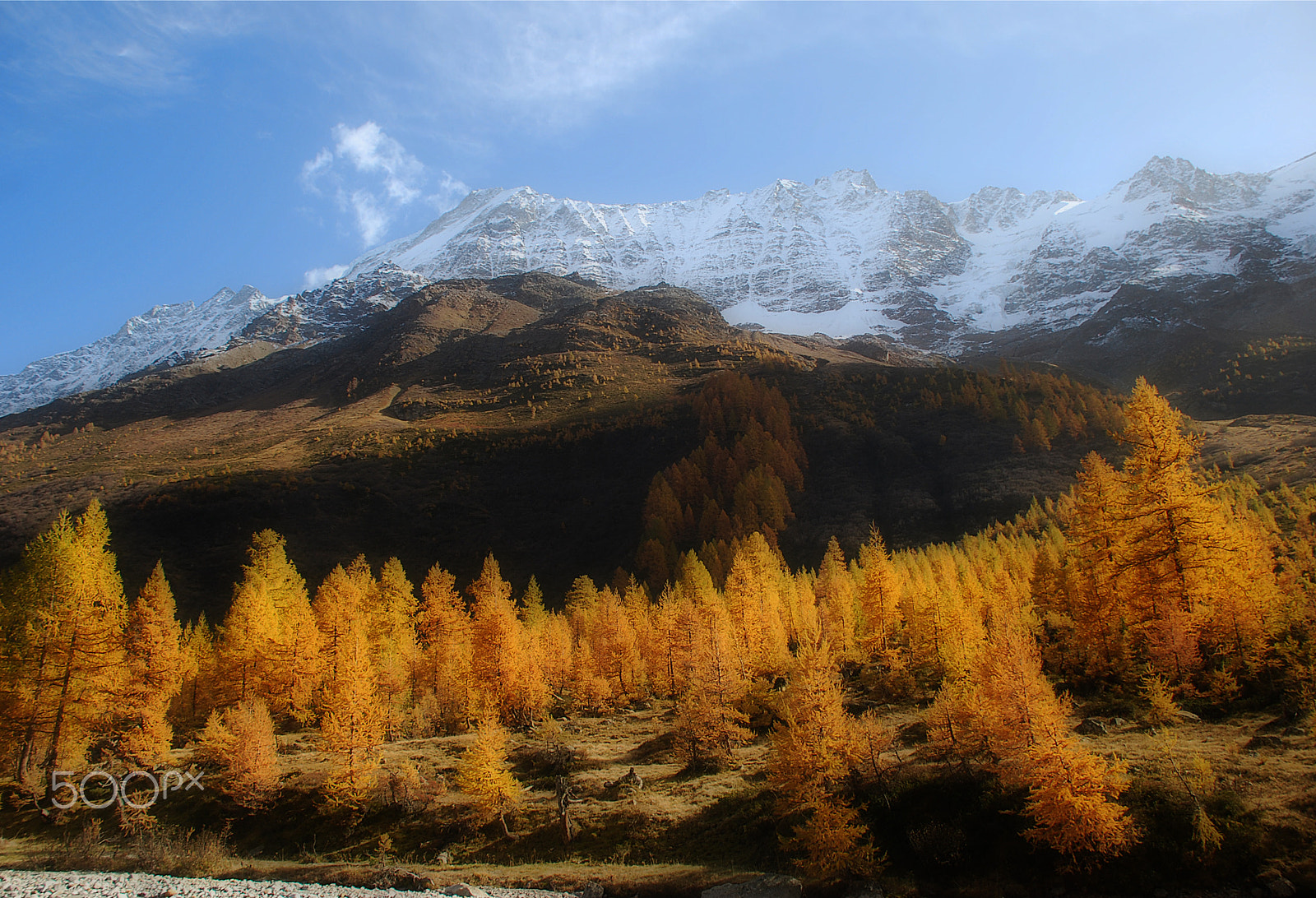 Nikon D40X sample photo. Maximage - p h o t o g r a p h y photography