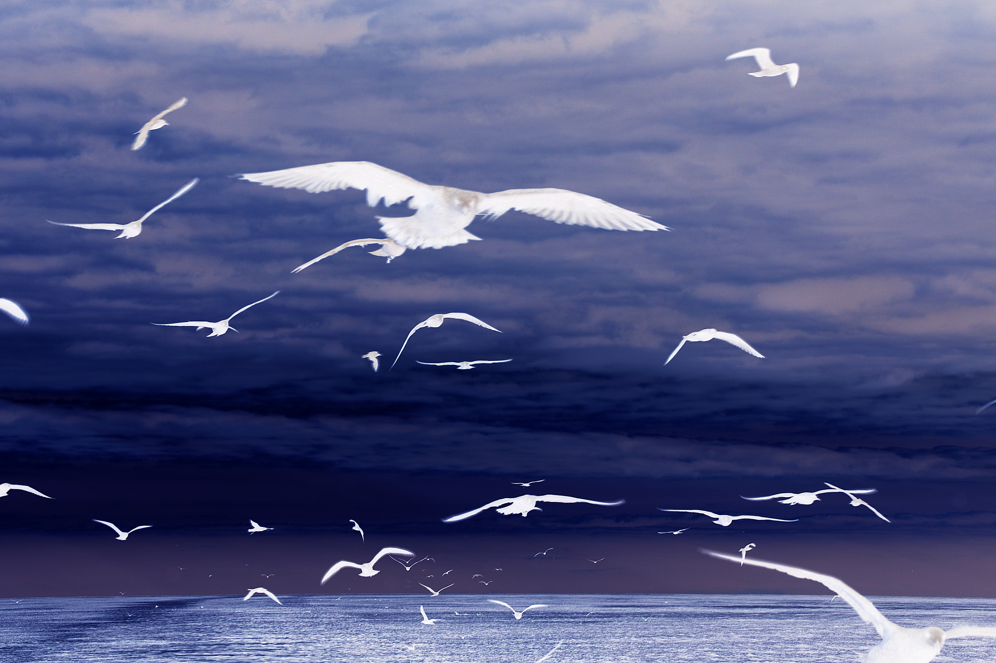 Sony Alpha DSLR-A290 sample photo. Ghost flight photography