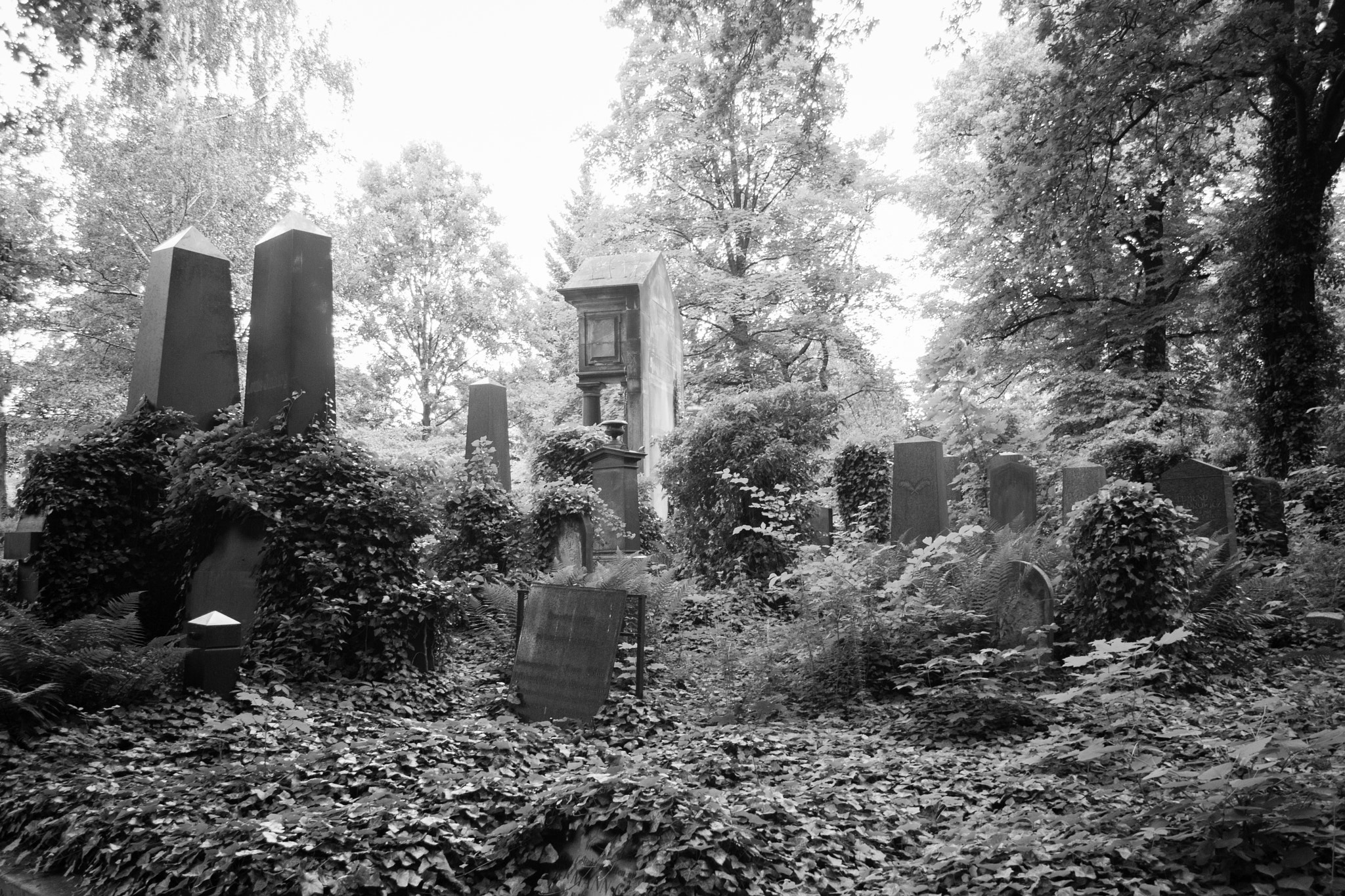 Olympus PEN E-P3 + Panasonic Lumix G 14mm F2.5 ASPH sample photo. Jewish cemetery weissensee photography