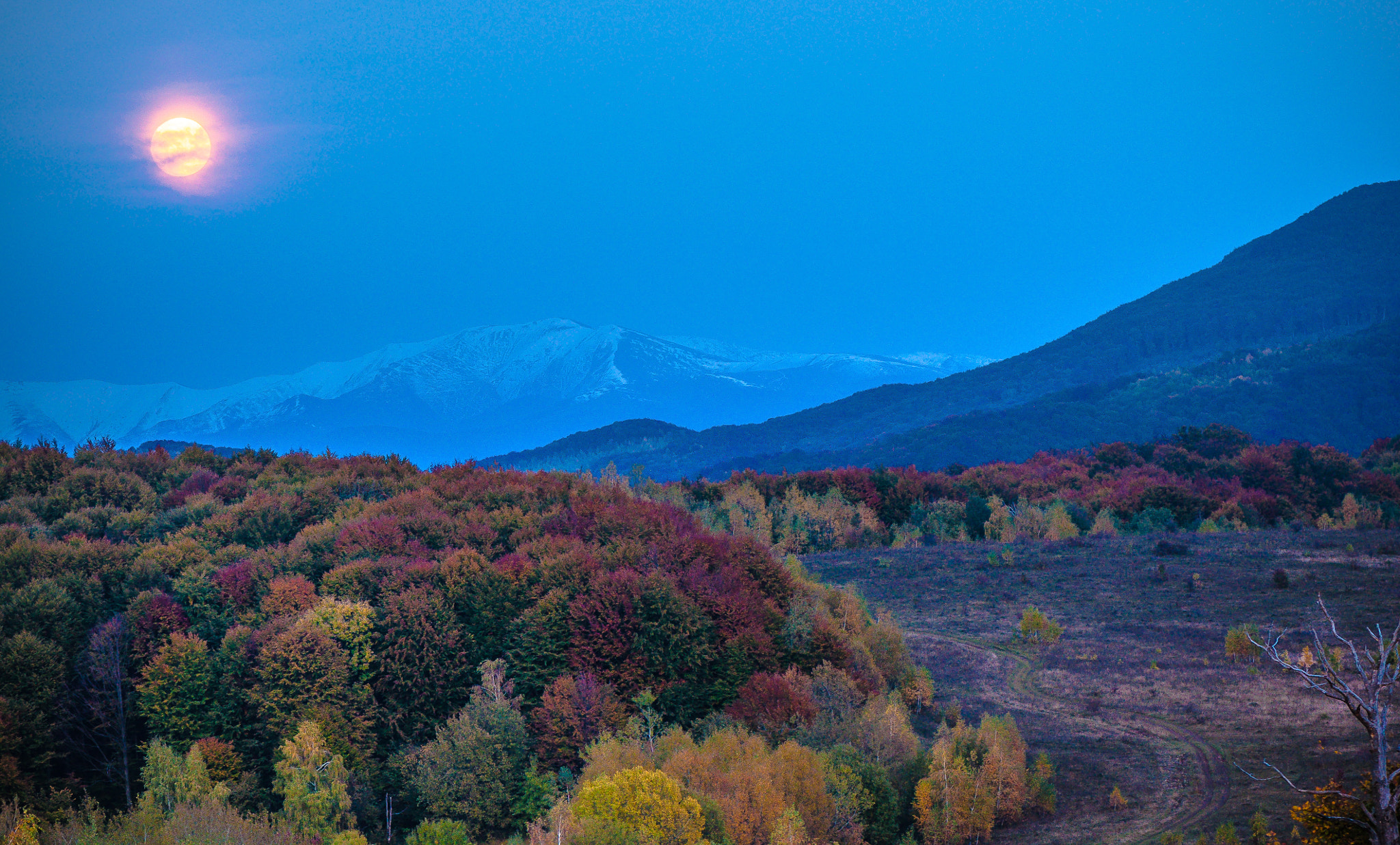 Nikon AF-S Micro-Nikkor 105mm F2.8G IF-ED VR sample photo. Lunar transcarpathia. Місячне Закарпаття. photography