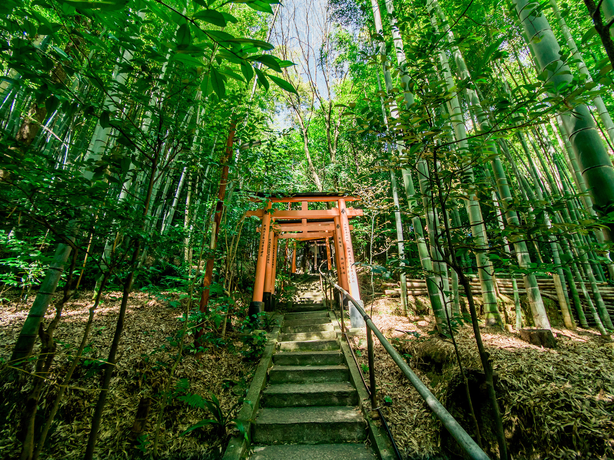 Panasonic Lumix DMC-GH4 sample photo. Kyoto 2 photography