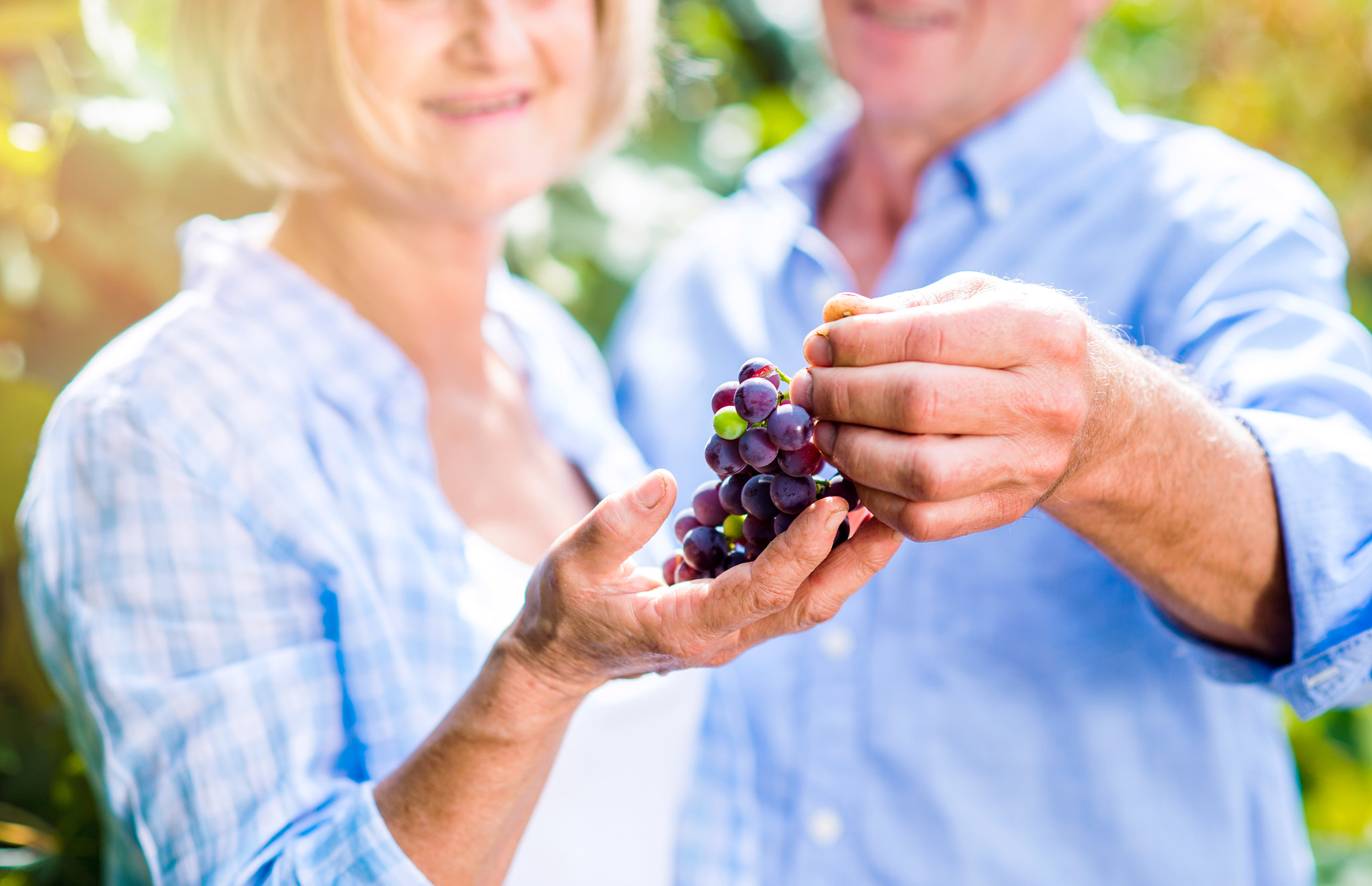 Nikon D4S + Nikon AF Nikkor 85mm F1.8D sample photo. Senior couple in blue shirts holding bunch of grapes photography