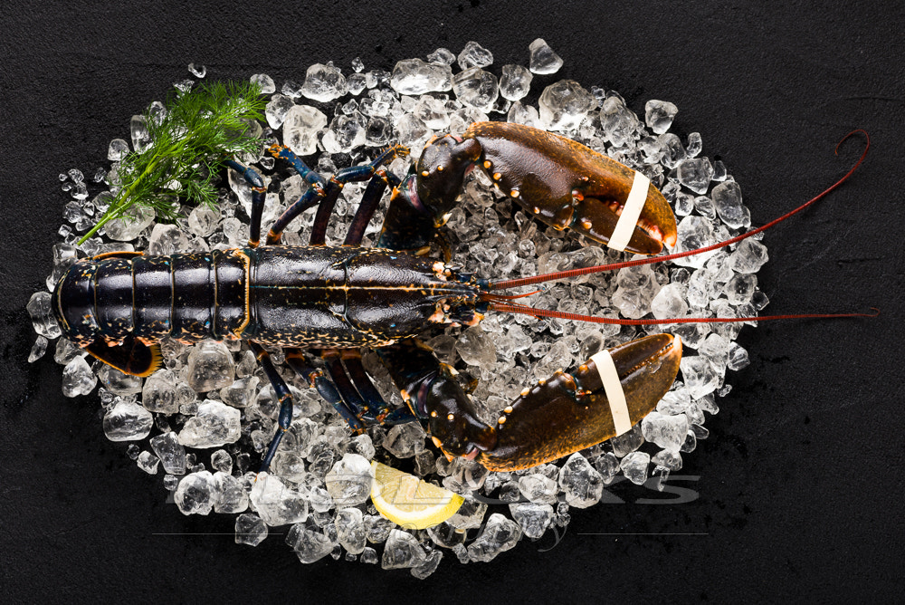 Tokina AT-X Pro 100mm F2.8 Macro sample photo. Raw lobster on ice on a black stone table top view photography