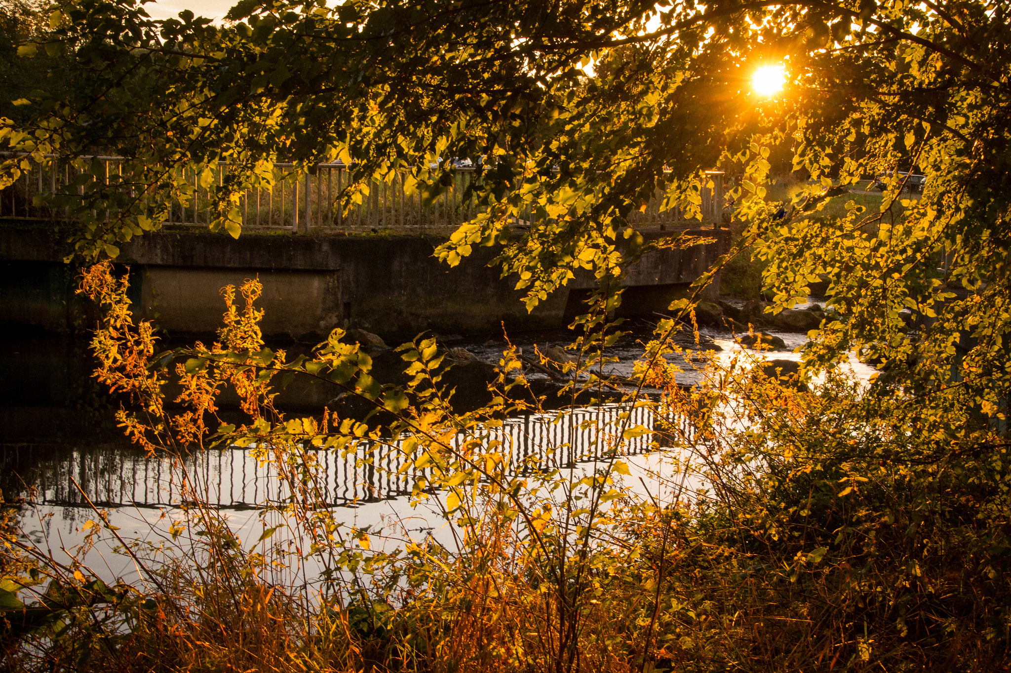 Tamron 16-300mm F3.5-6.3 Di II VC PZD Macro sample photo. Autumn at the river aa photography