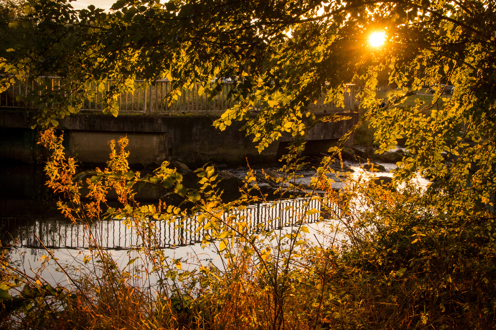 Sony SLT-A58 sample photo. Autumn at the river aa photography