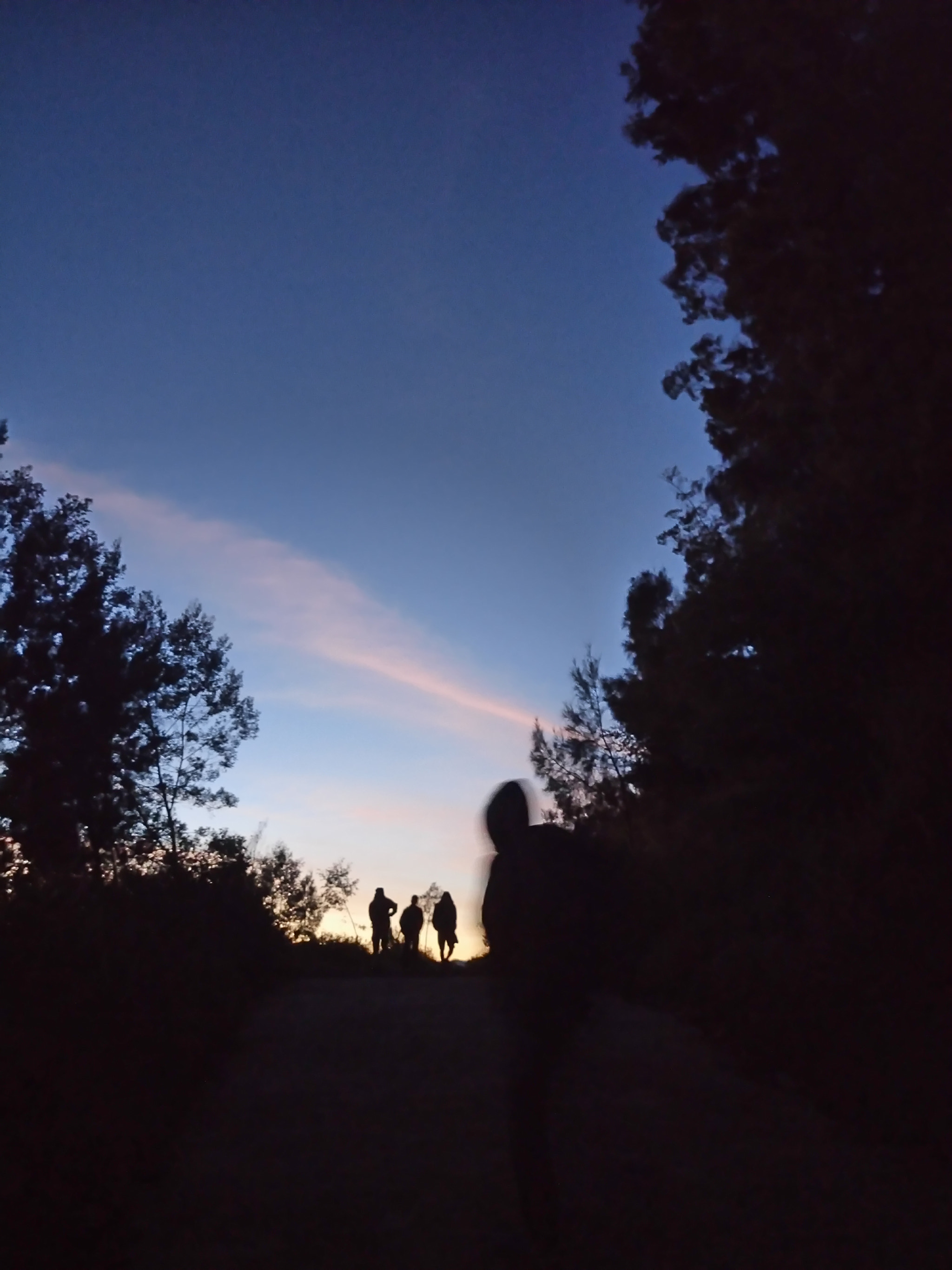 Sony Xperia M5 Dual sample photo. Bromo, indonesia photography