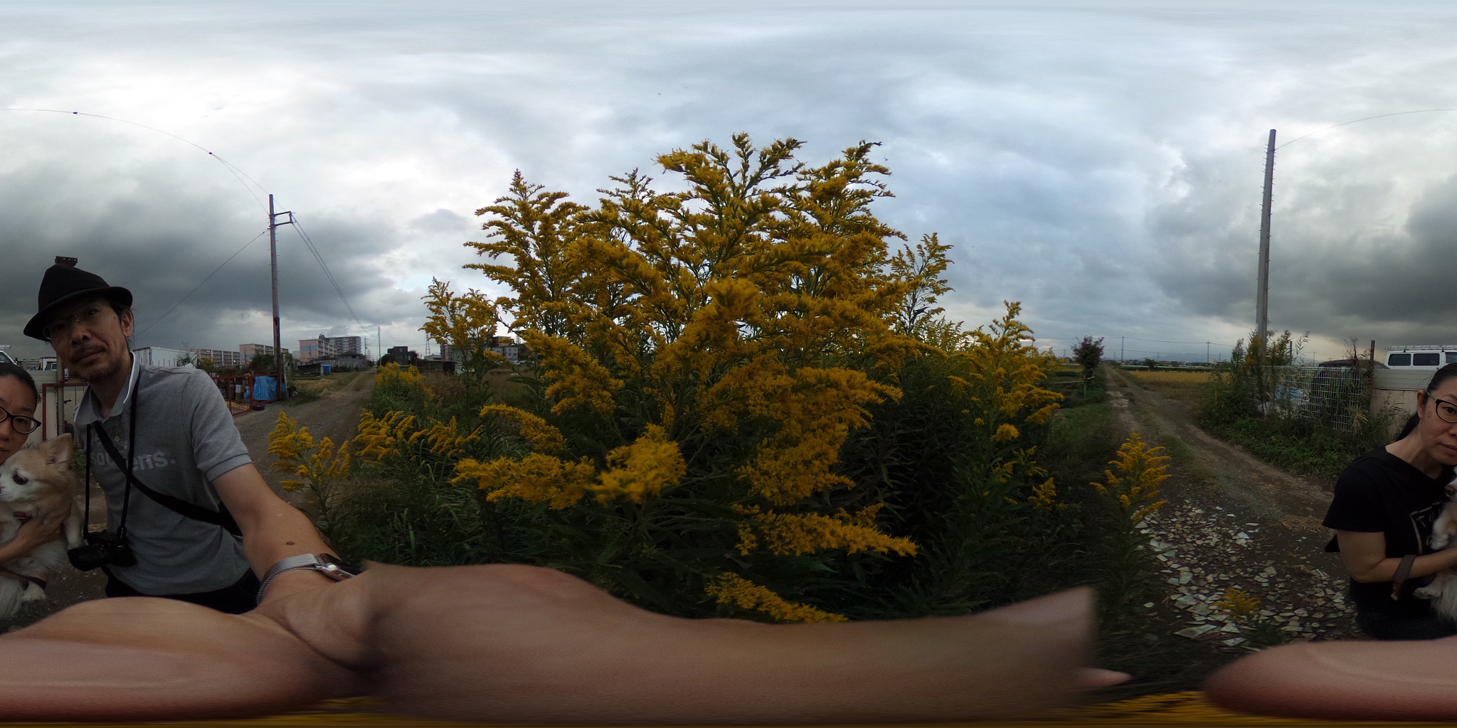 Ricoh Theta S sample photo. Ricoh theta s : october 19 2016 photography