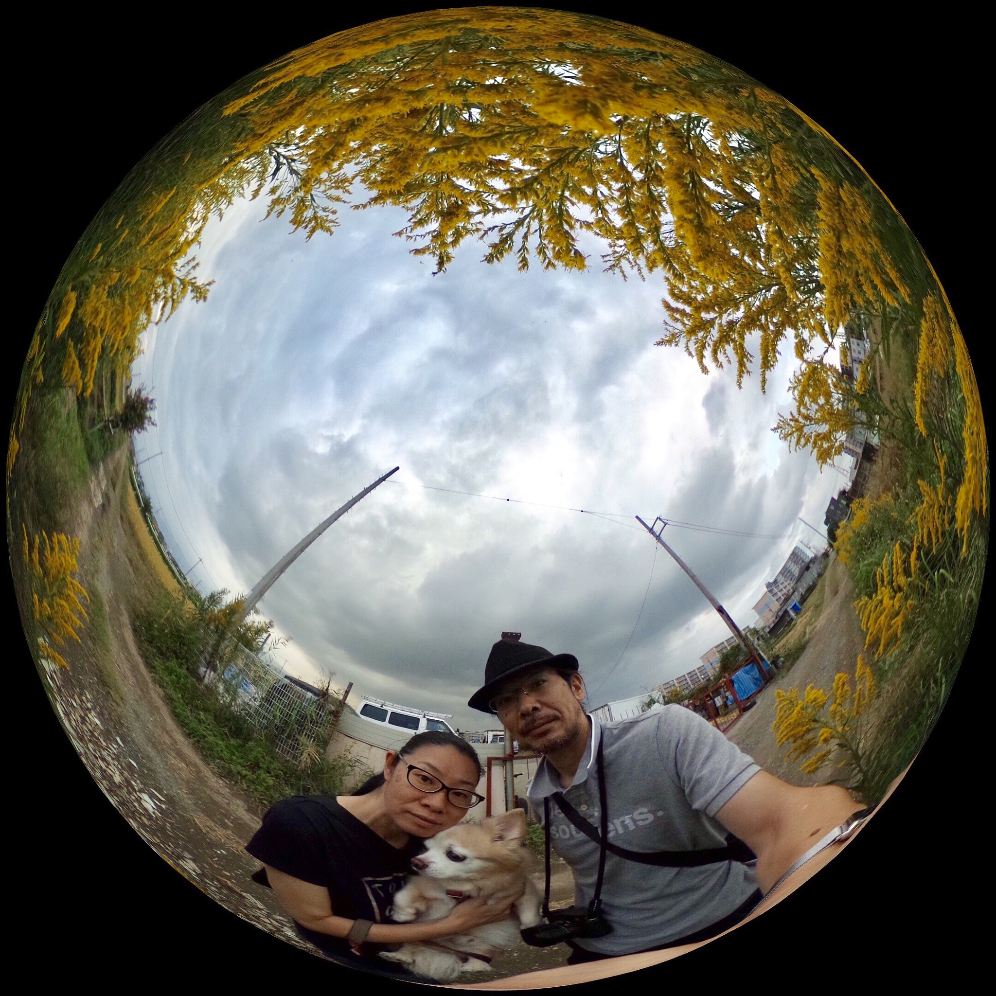 Ricoh Theta S sample photo. Ricoh theta s : october 19 2016 photography