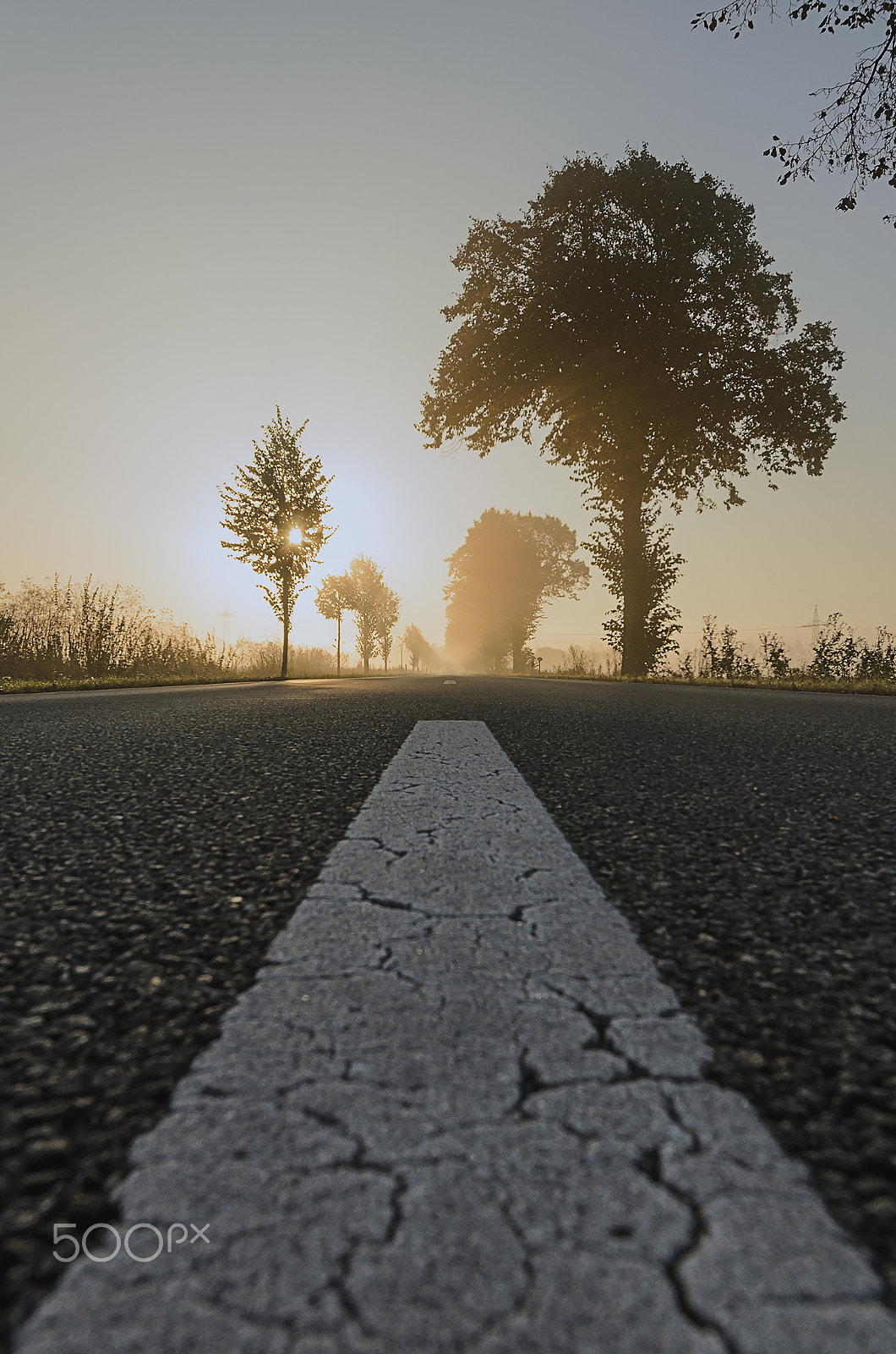 Sigma 12-24mm F4.5-5.6 II DG HSM sample photo. Misty road photography