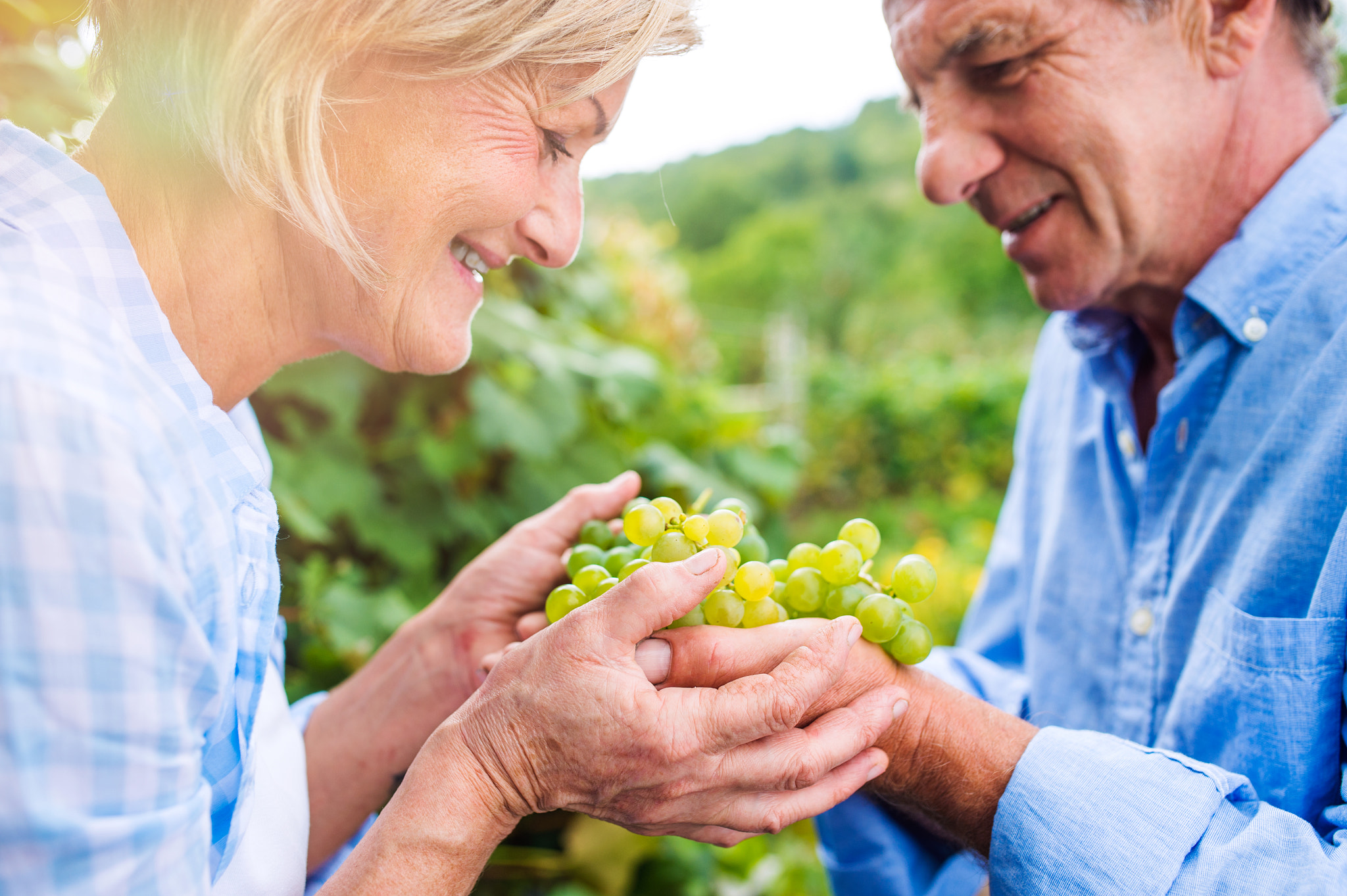 Nikon D4S + Sigma 35mm F1.4 DG HSM Art sample photo. Senior couple in blue shirts holding bunch of grapes photography