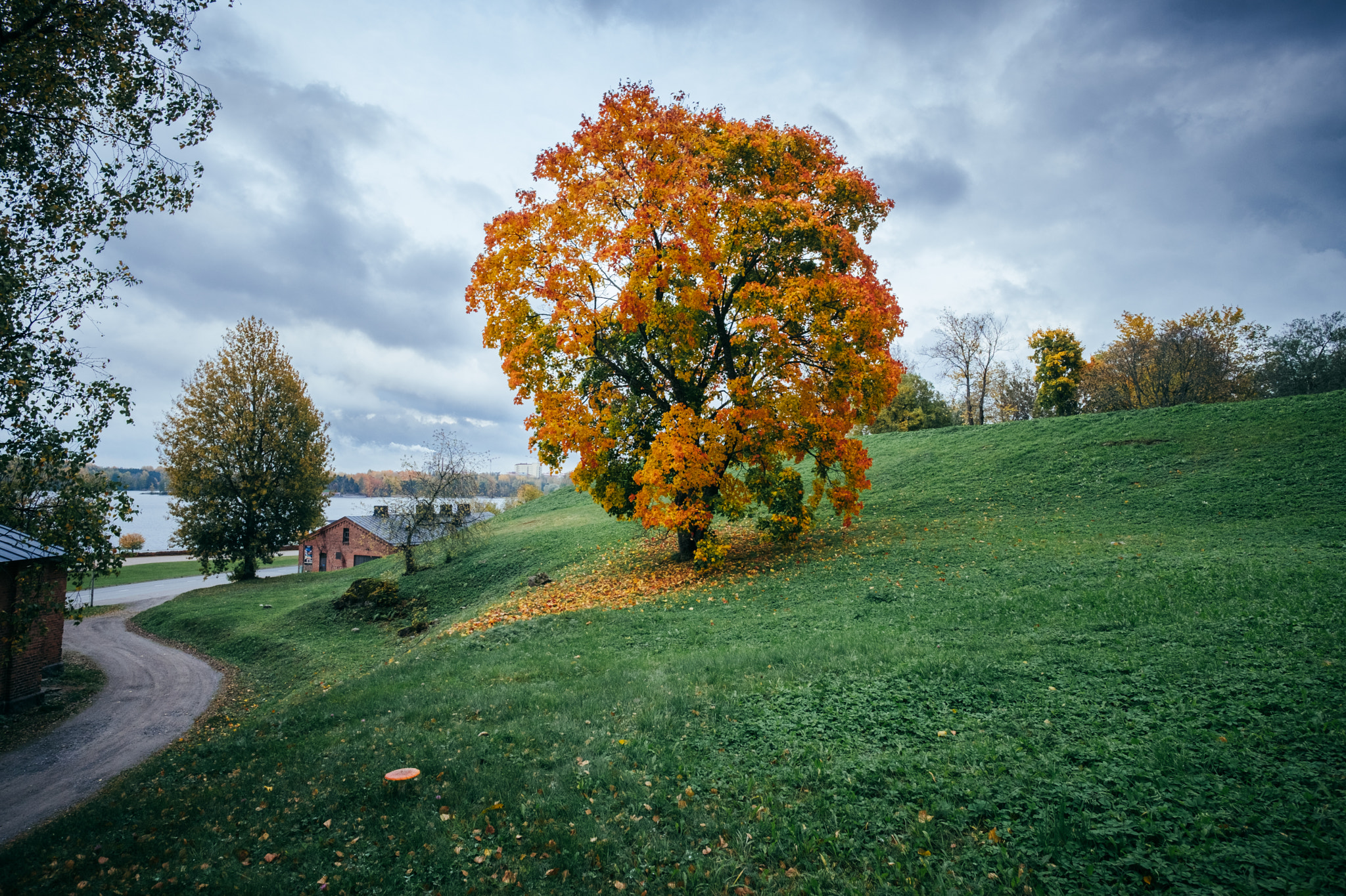 Fujifilm X-Pro2 + ZEISS Touit 12mm F2.8 sample photo. Autumn colors photography