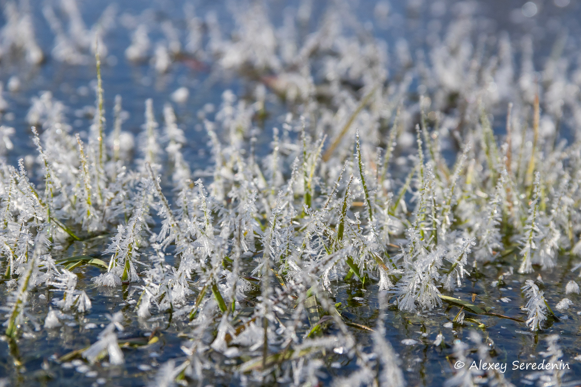 Canon EF-S 18-135mm F3.5-5.6 IS sample photo. Ice thickets. photography