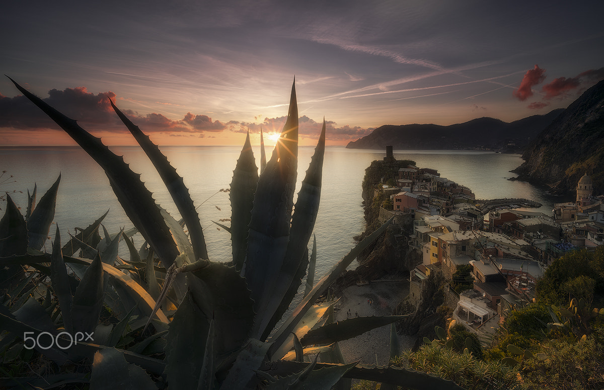 Sony a7R II + Voigtlander SUPER WIDE-HELIAR 15mm F4.5 III sample photo. Vernazza sunset photography