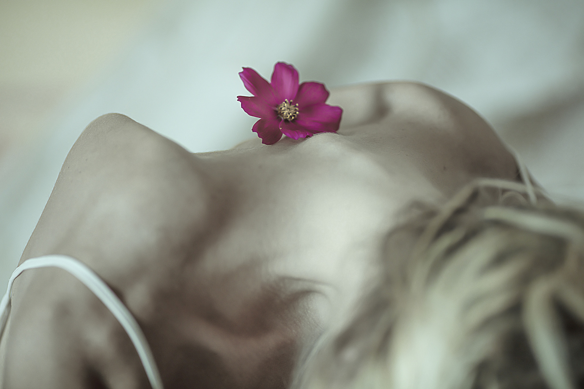 Canon EOS 5DS R + Canon EF 135mm F2L USM sample photo. Fragility photography
