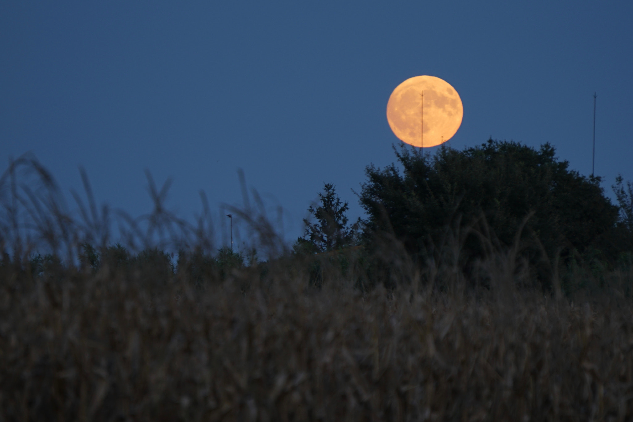Sony E 55-210mm F4.5-6.3 OSS sample photo. Luna llena photography