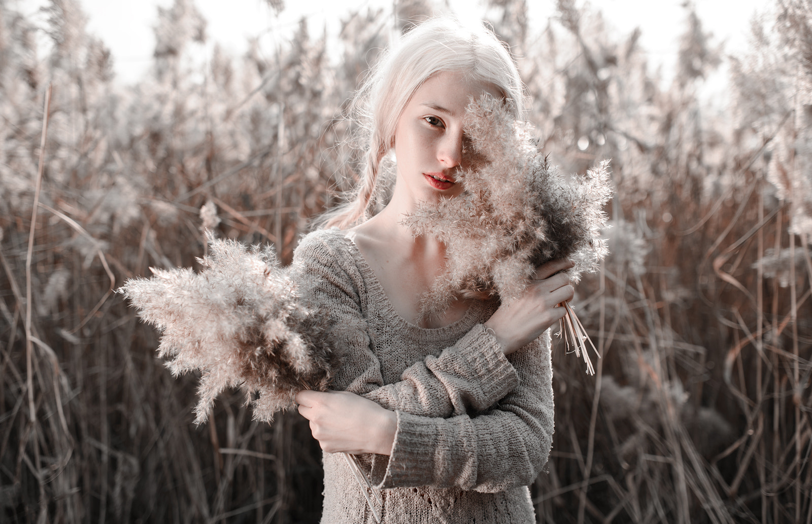 Nikon D4 + Sigma 35mm F1.4 DG HSM Art sample photo. ... photography