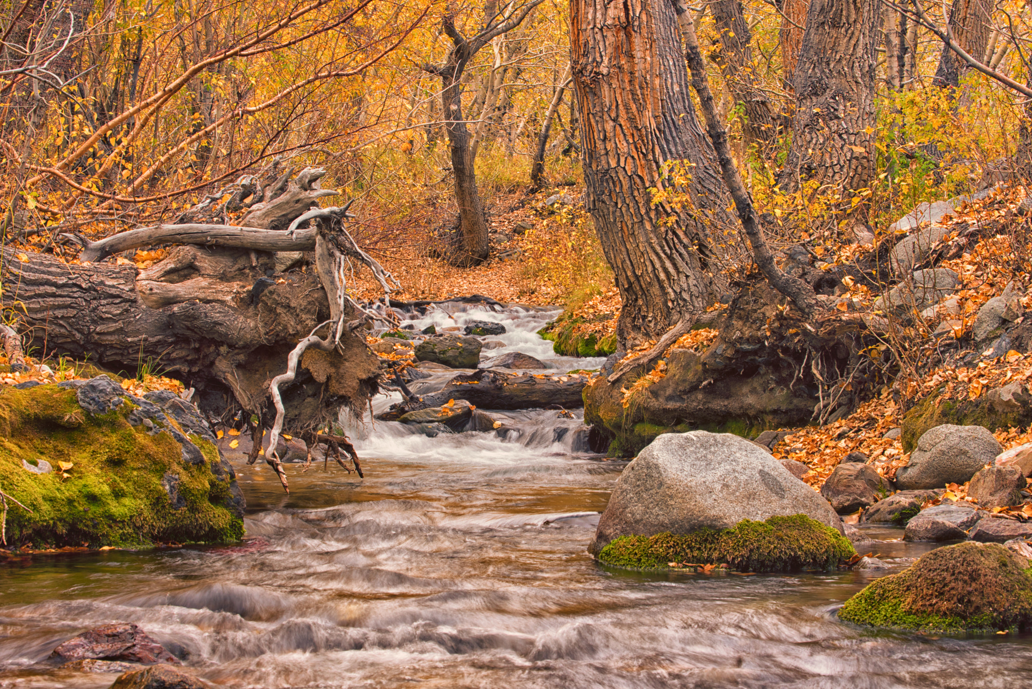 AF-S Zoom-Nikkor 80-200mm f/2.8D IF-ED sample photo. That creek photography