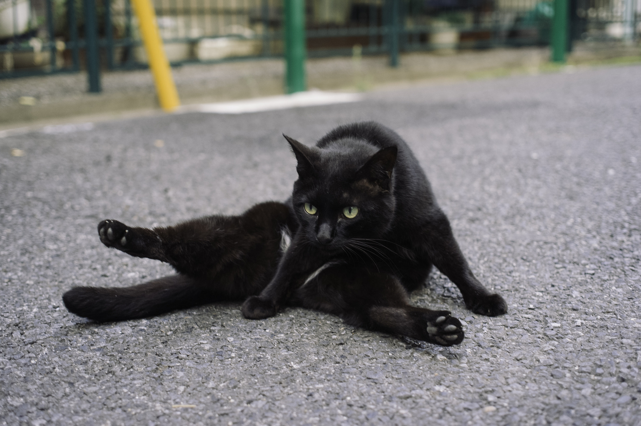 Ricoh GXR A12 sample photo. ウパヴィシュタ・コーナ・アーサナ upavistha konasana, tokyo photography