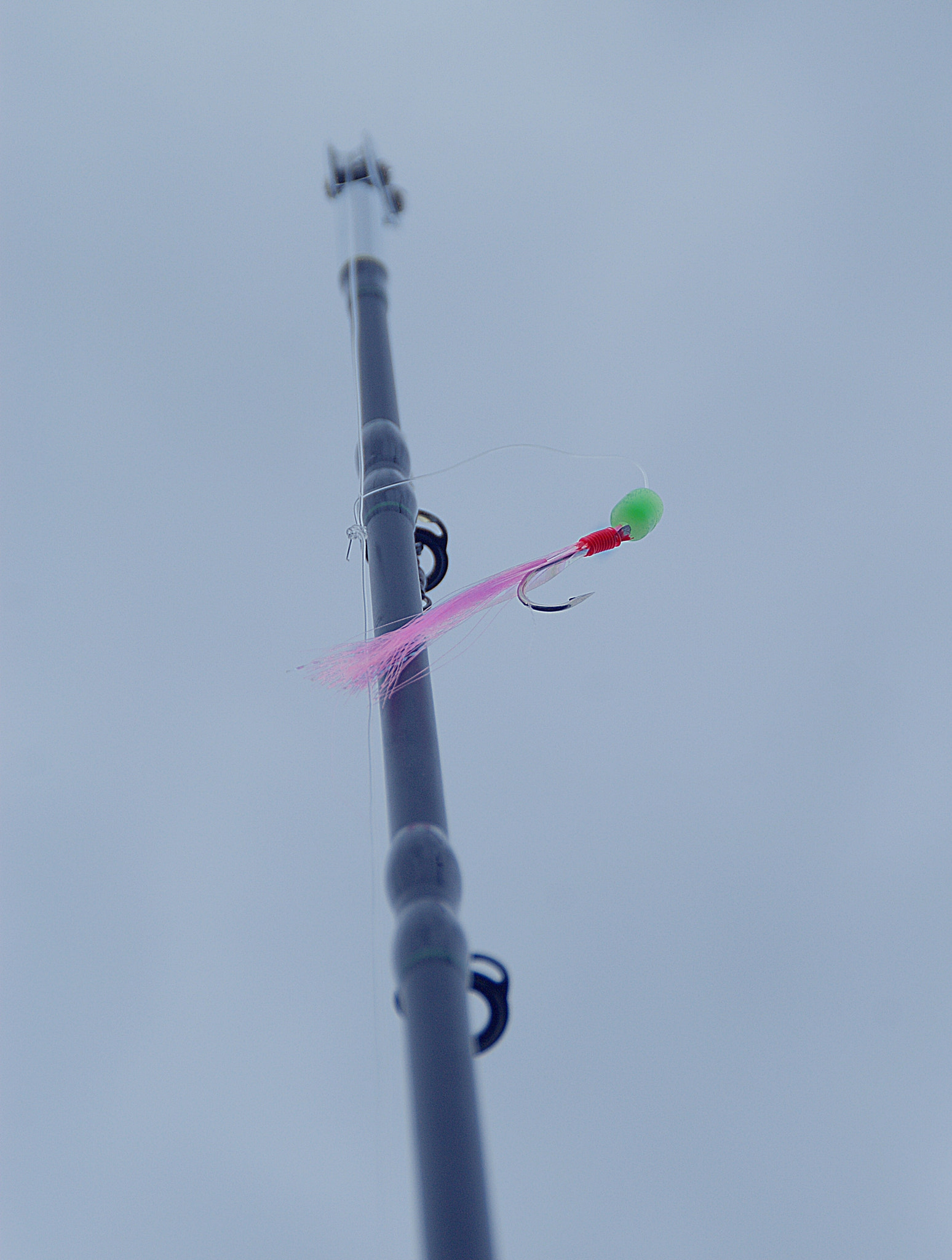 Sony Alpha DSLR-A290 sample photo. Waiting for the big fish photography