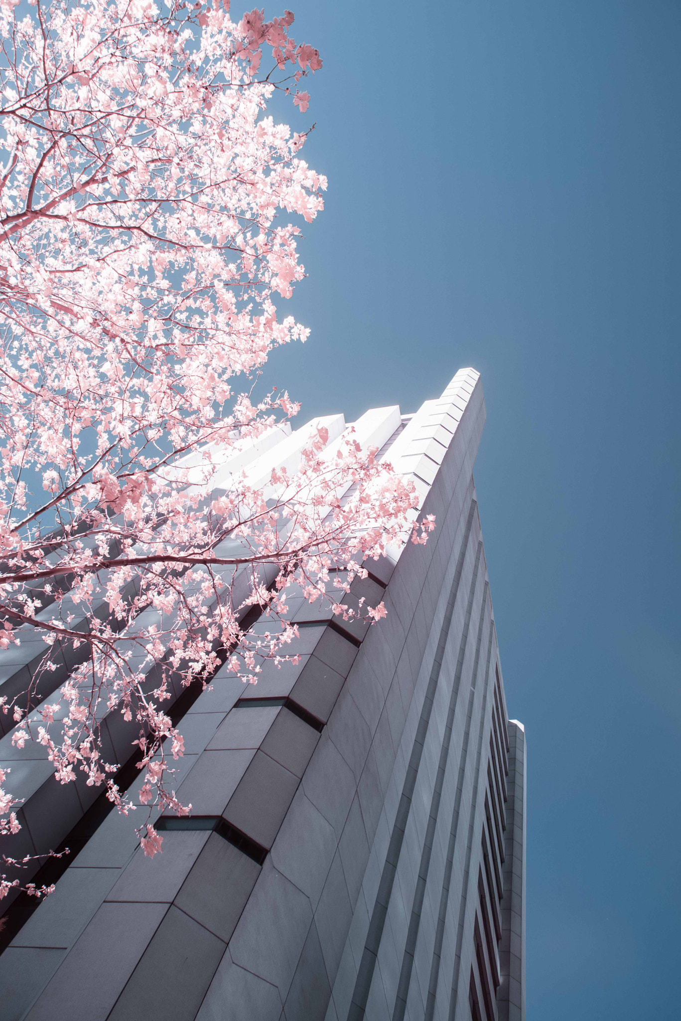 Nikon D610 + Nikon AF Nikkor 28mm F2.8D sample photo. Must build additional pylons photography