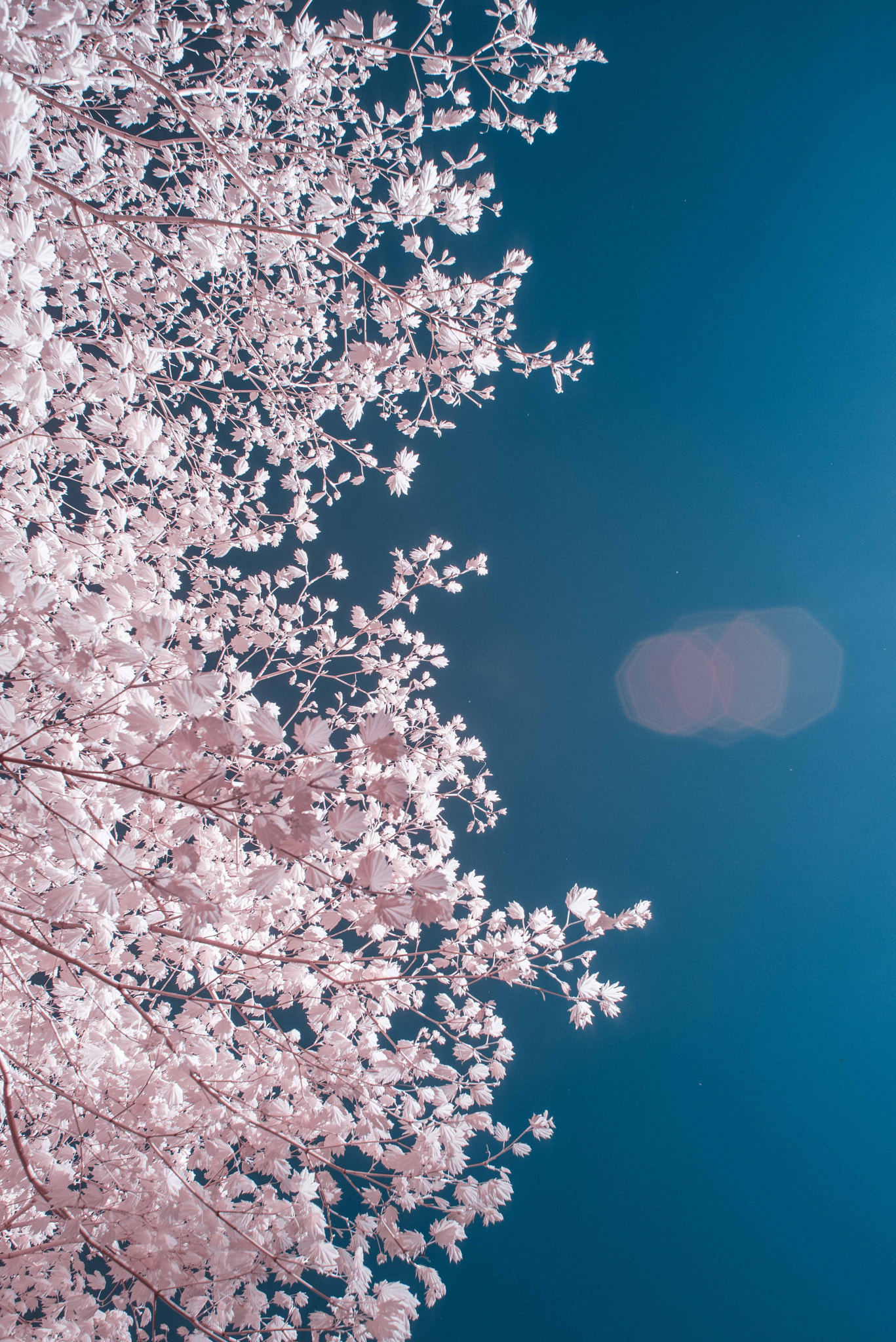 Nikon AF Nikkor 28mm F2.8D sample photo. Left to right photography