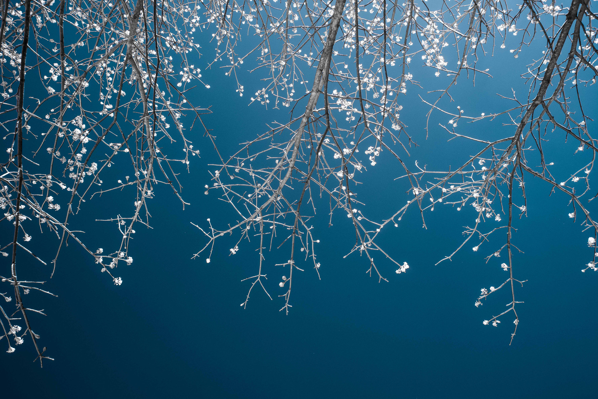 Nikon D610 + Nikon AF Nikkor 28mm F2.8D sample photo. Spring has sprung photography