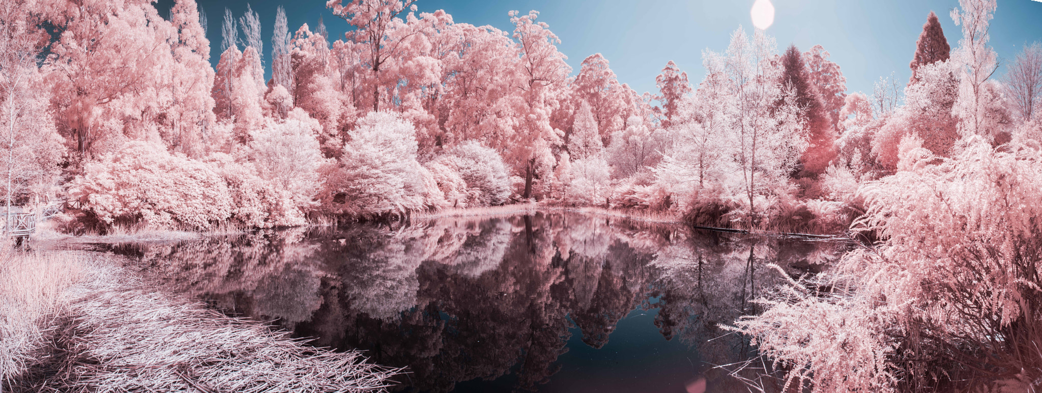 Nikon D610 + Nikon AF Nikkor 28mm F2.8D sample photo. The upside down photography