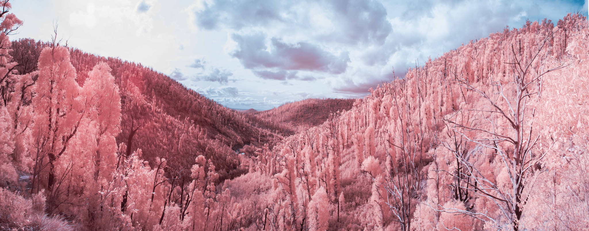 Nikon D610 + Nikon AF Nikkor 28mm F2.8D sample photo. Crimson hills photography