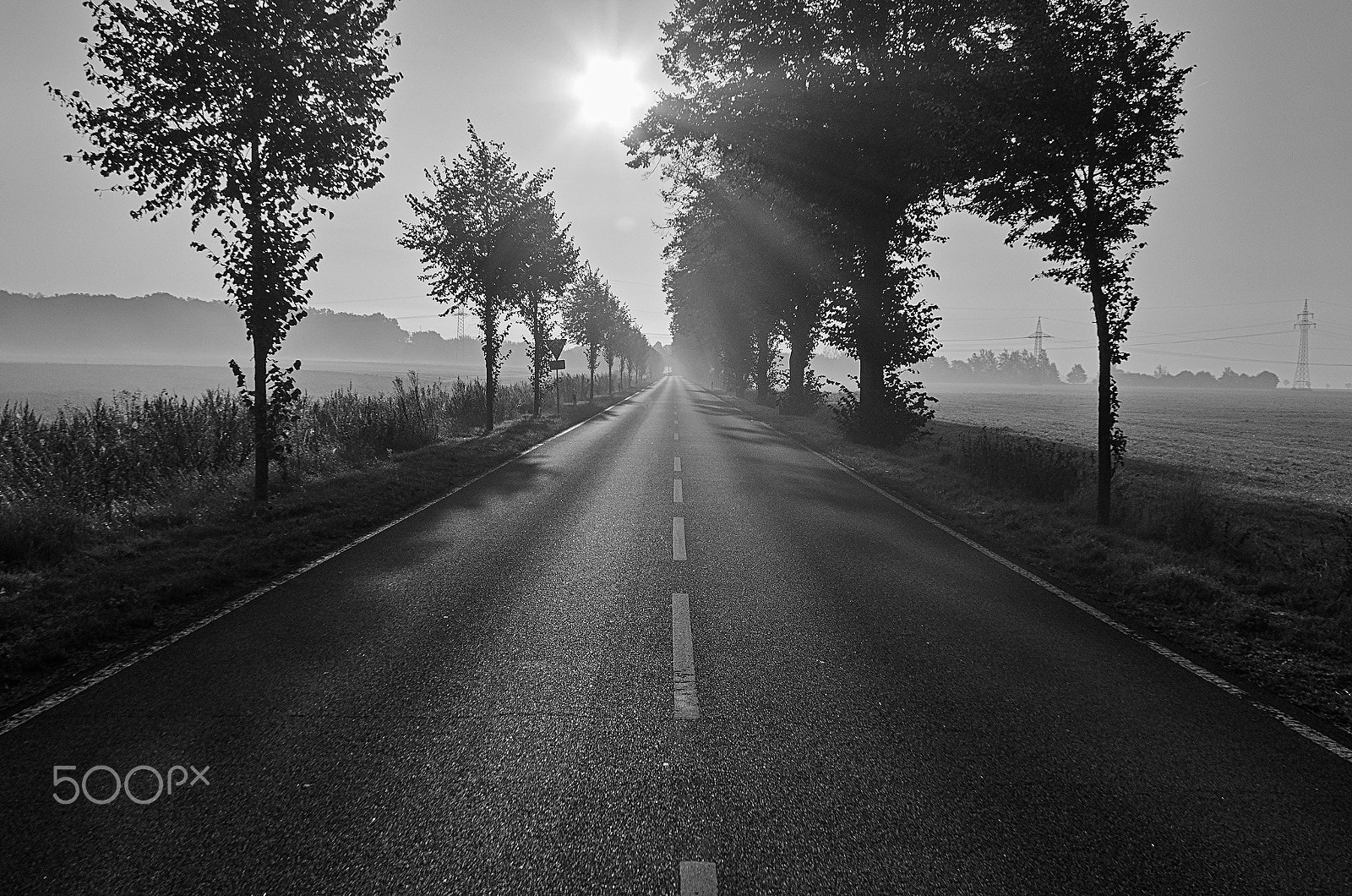 Nikon D7000 sample photo. Misty road #2 photography