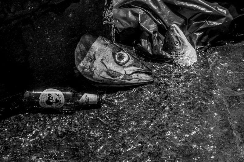 Canon EF-S 18-55mm F3.5-5.6 II sample photo. When they decided to go partying wild, they never imagined it could end up like this. photography