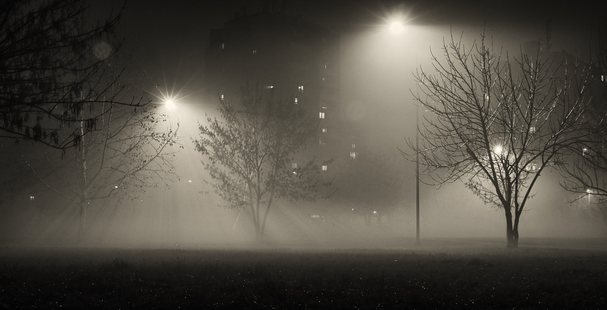 18.0 - 135.0 mm sample photo. Mysterious thoughts photography