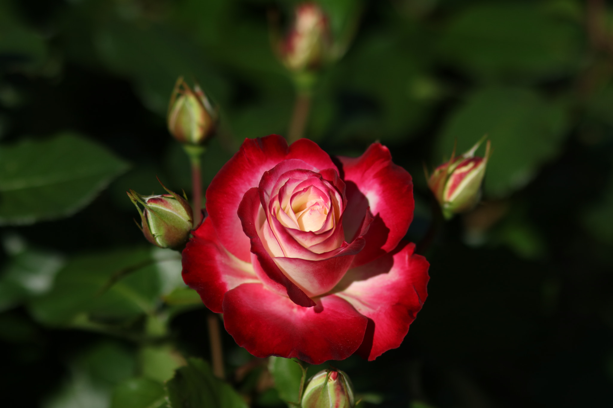 Canon EOS M3 sample photo. Abg_20161014_16 photography
