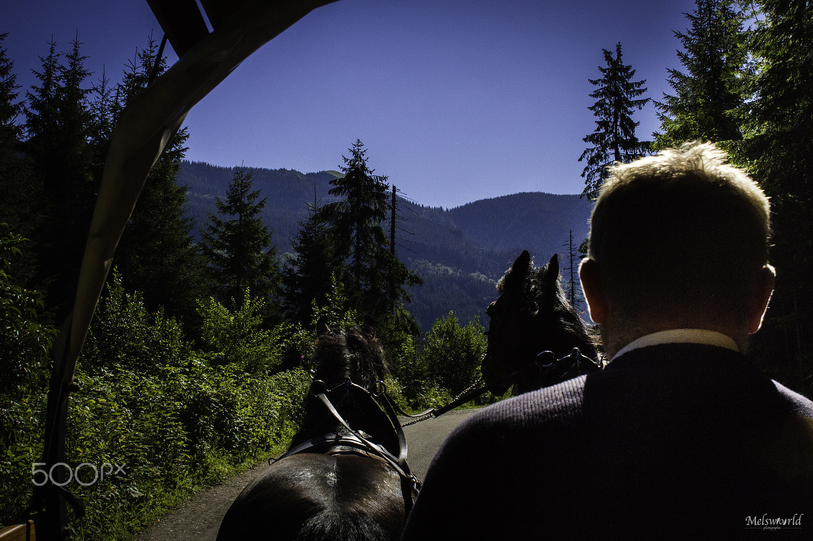 Canon EF 24mm F2.8 sample photo. Carriage ride photography